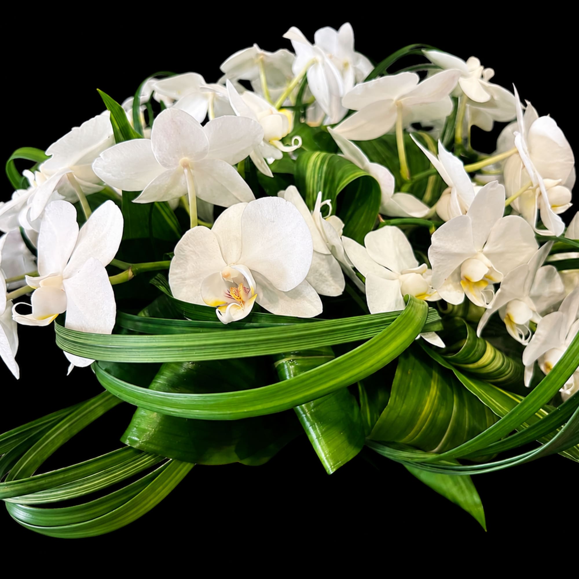 A low, sculptural display of white Phalaenopsis orchids makes a quietly elegant, photo 2 of 3