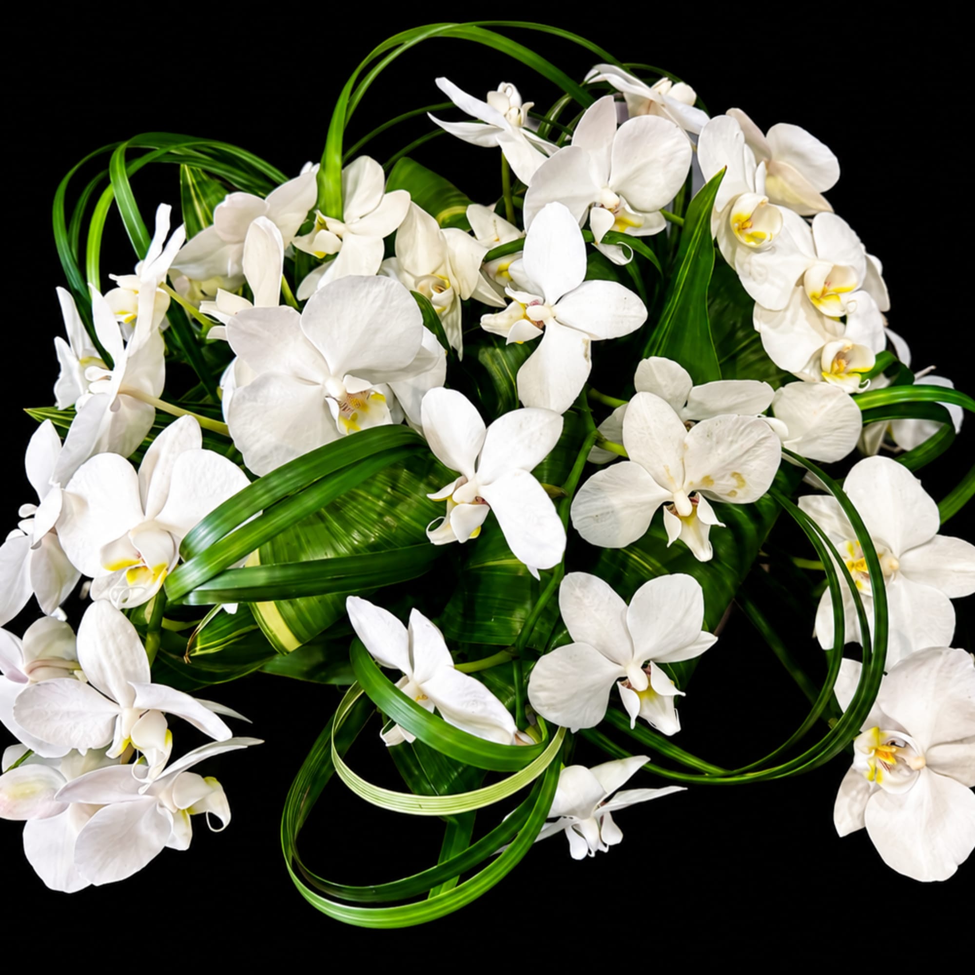 A low, sculptural display of white Phalaenopsis orchids makes a quietly elegant, photo 3 of 3