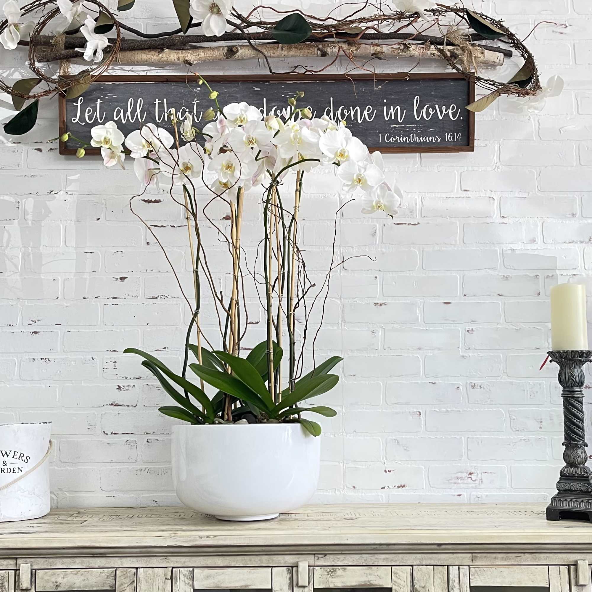 White orchid arrangement in a white pot on a table