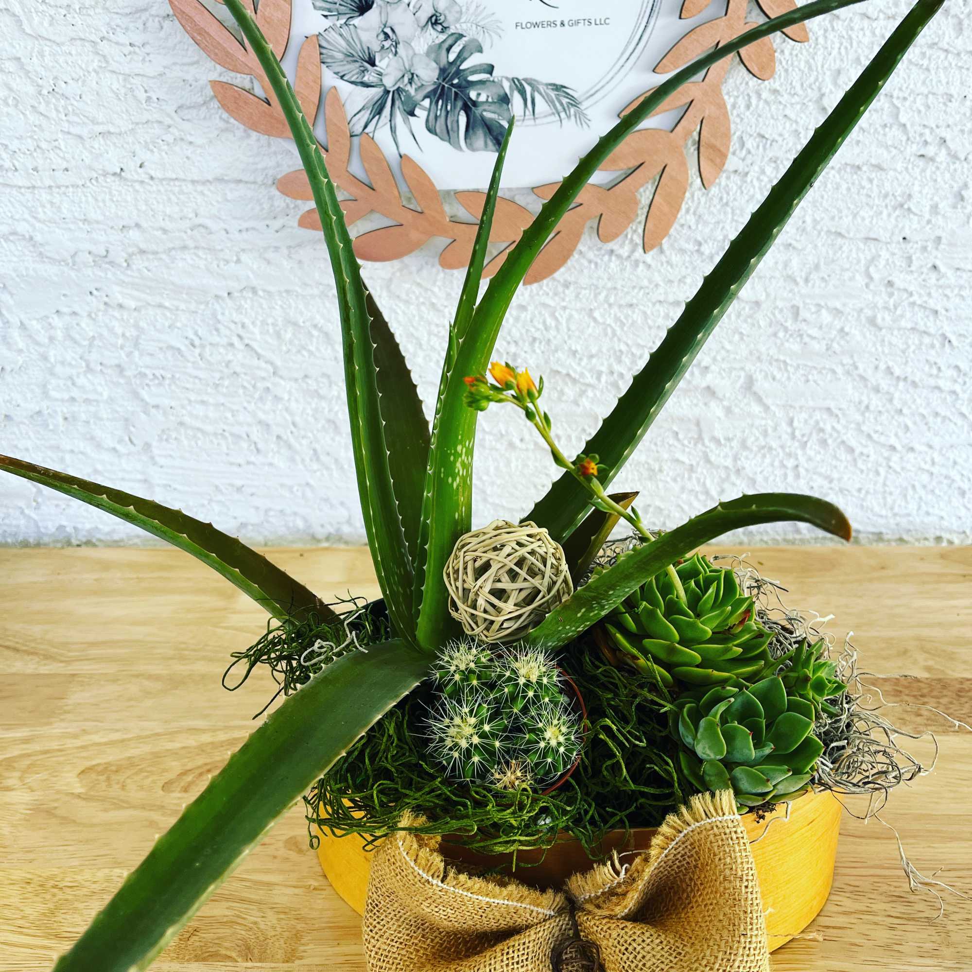 Succulent and aloe arrangement in a yellow container with a burlap bow, photo 2 of 3