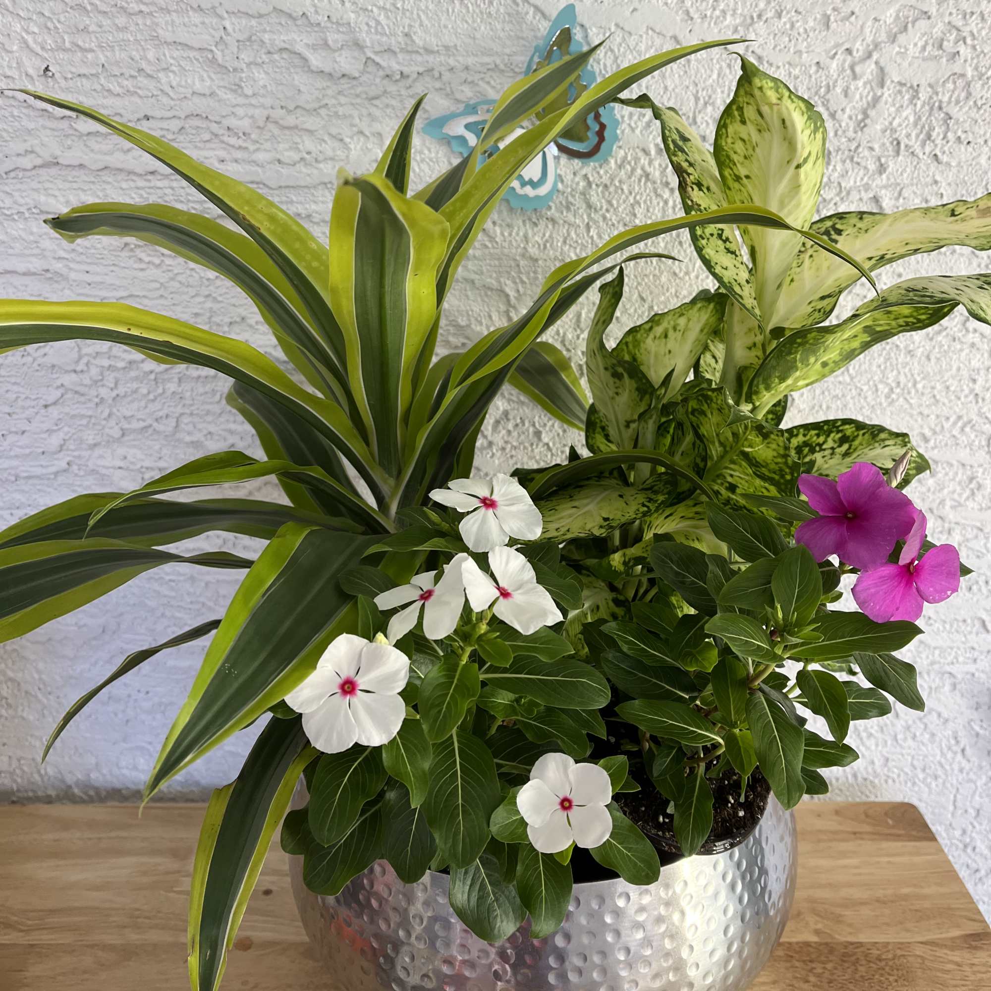 Mixed potted plants with white and pink flowers in a silver bowl planter