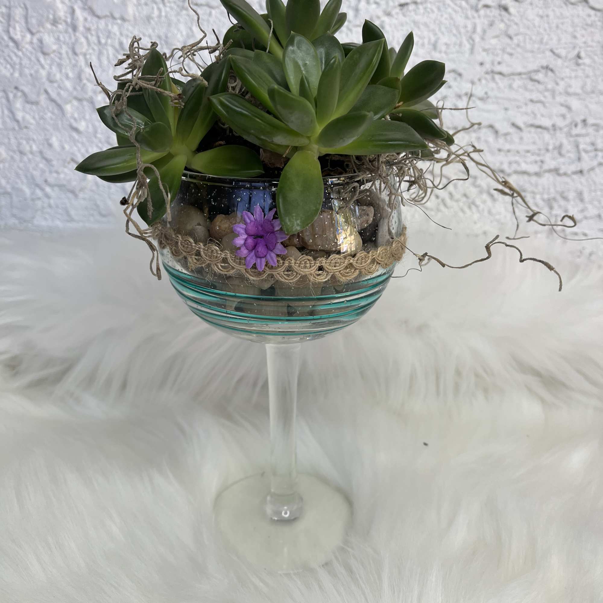 Succulent arrangement in a glass goblet with a small purple flower accent