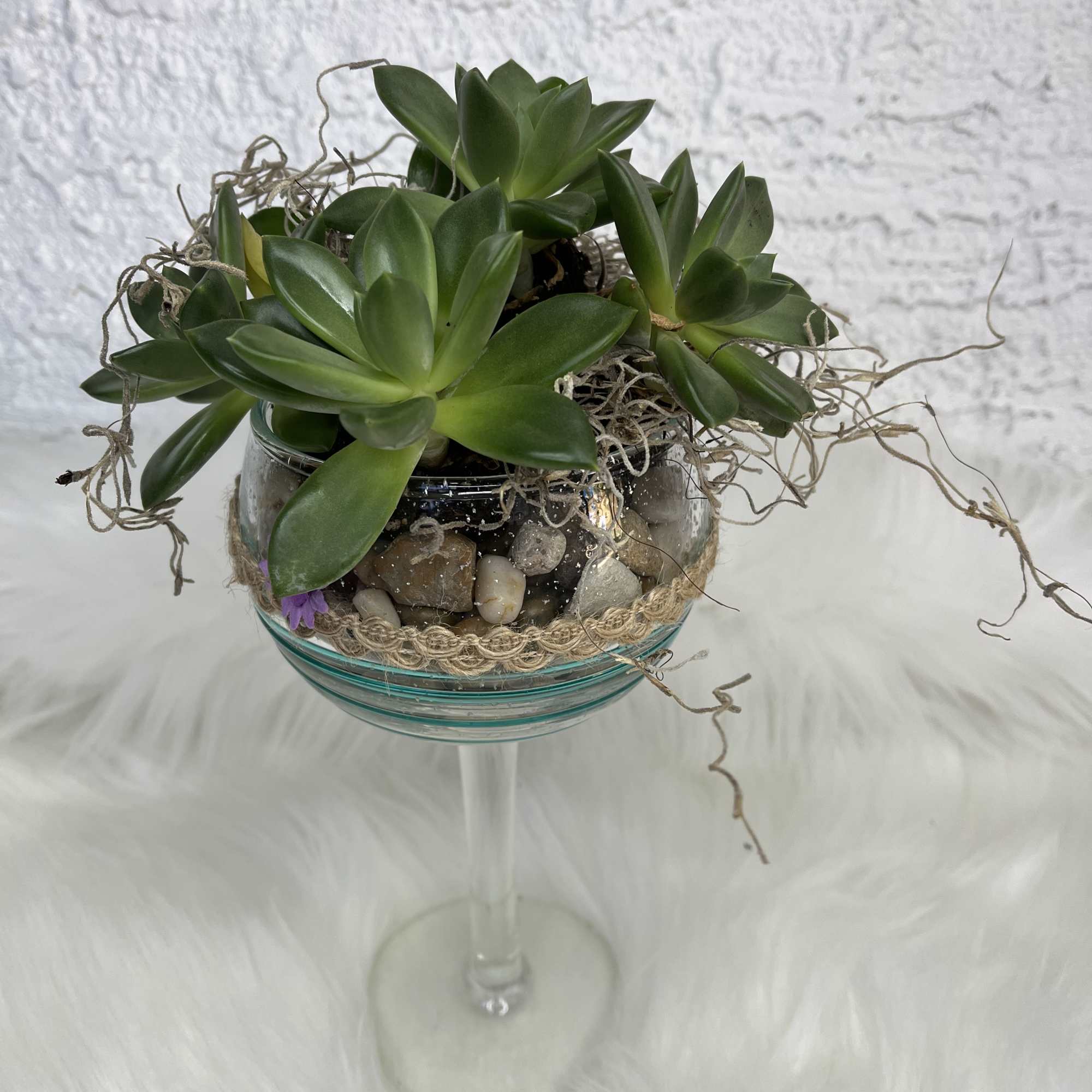 Potted succulent arrangement in a glass bowl on a stemmed stand