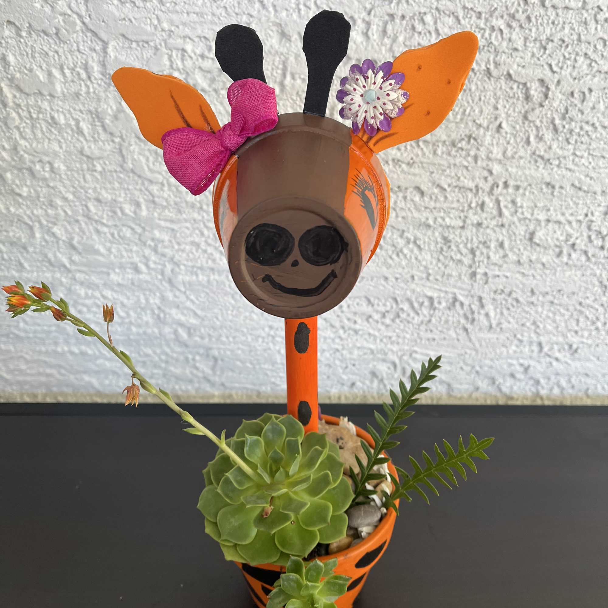 Halloween-themed potted succulent arrangement with a decorated giraffe face