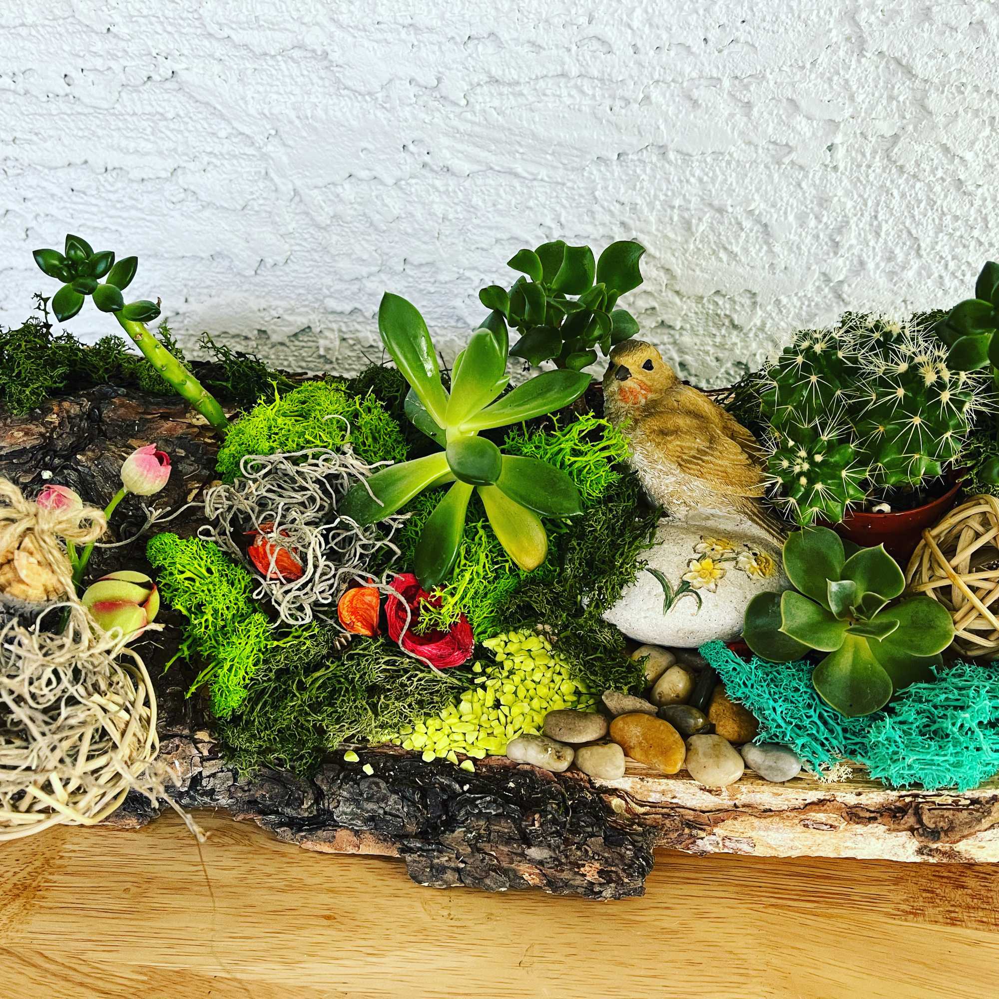 Succulent and cactus arrangement on a bark base with a small bird figurine