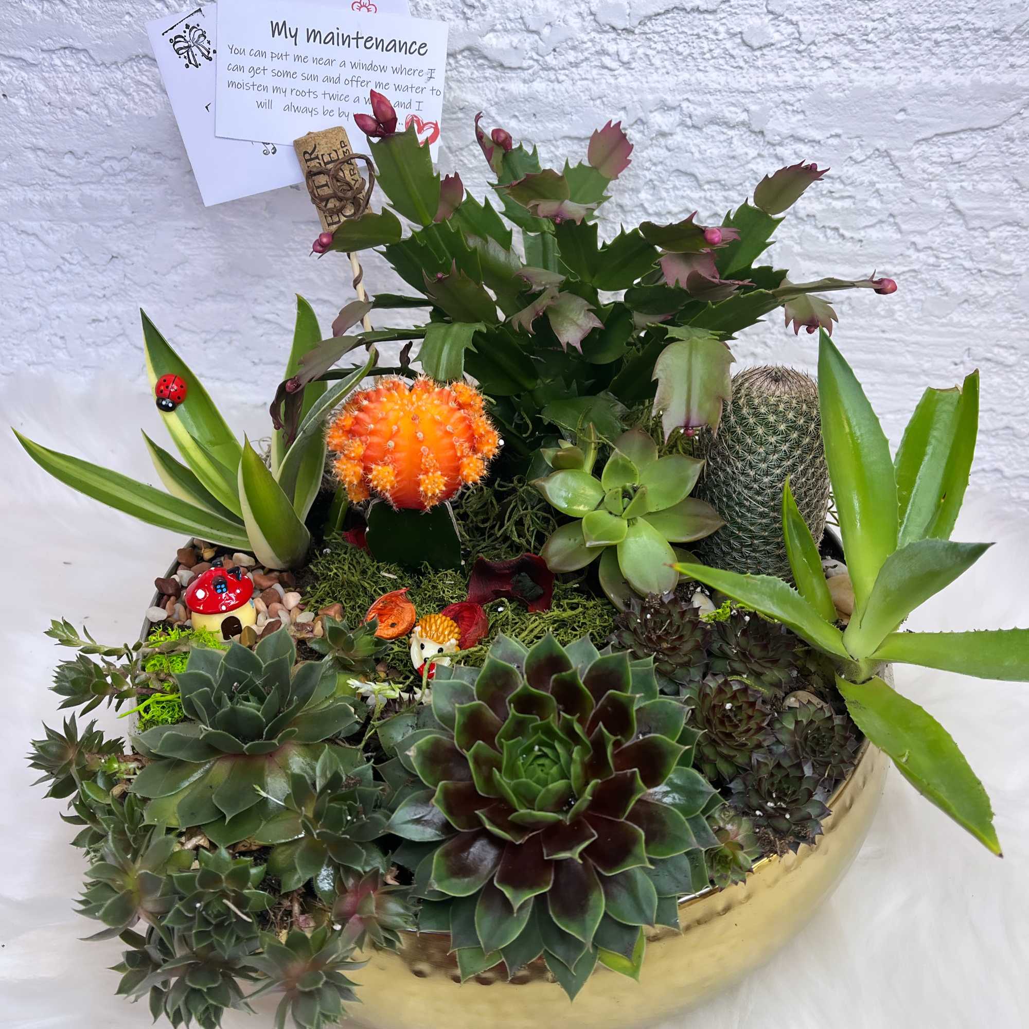 Mixed succulent and cactus arrangement in a gold bowl with small decorative accents