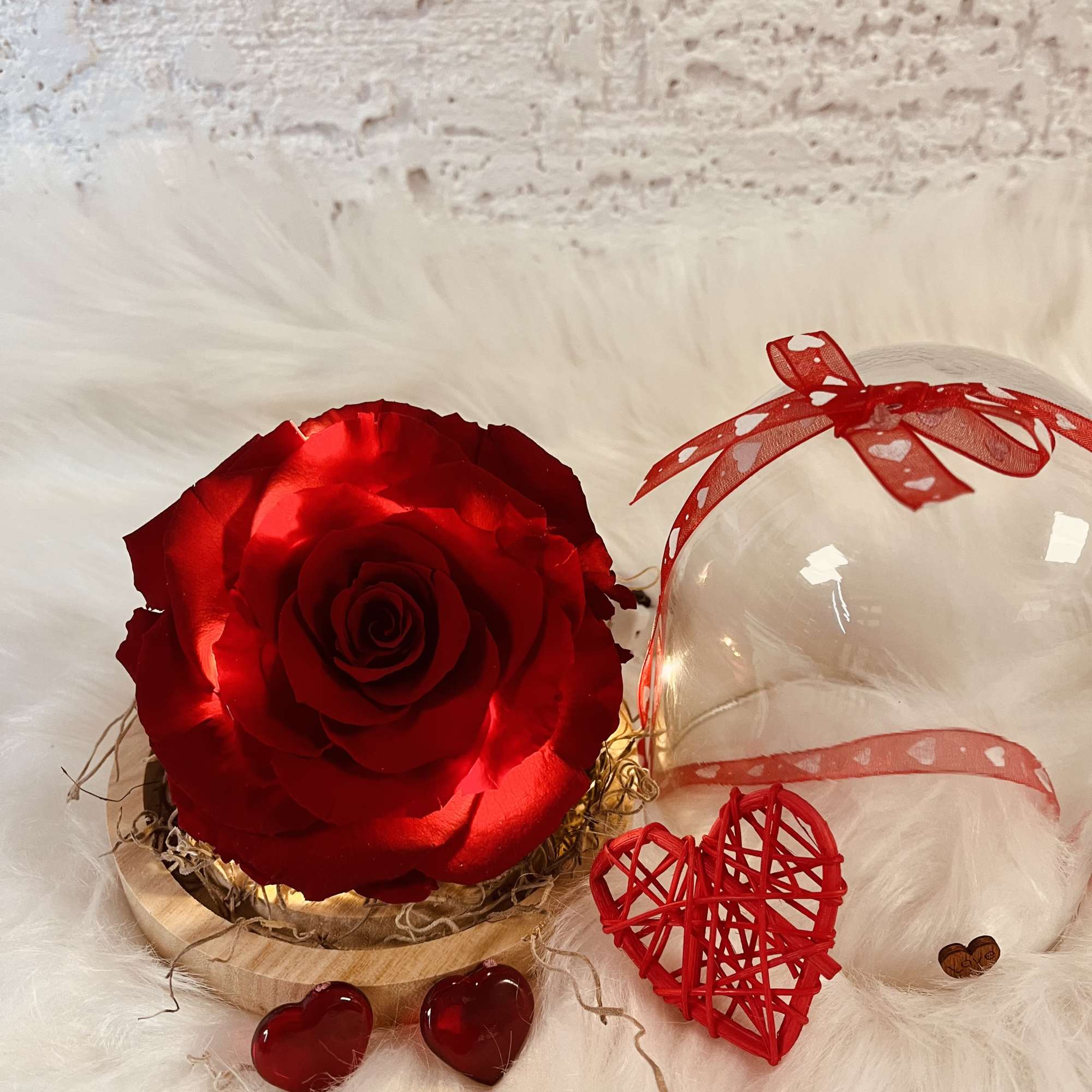 Red rose in a clear dome with heart ribbon and decorative hearts