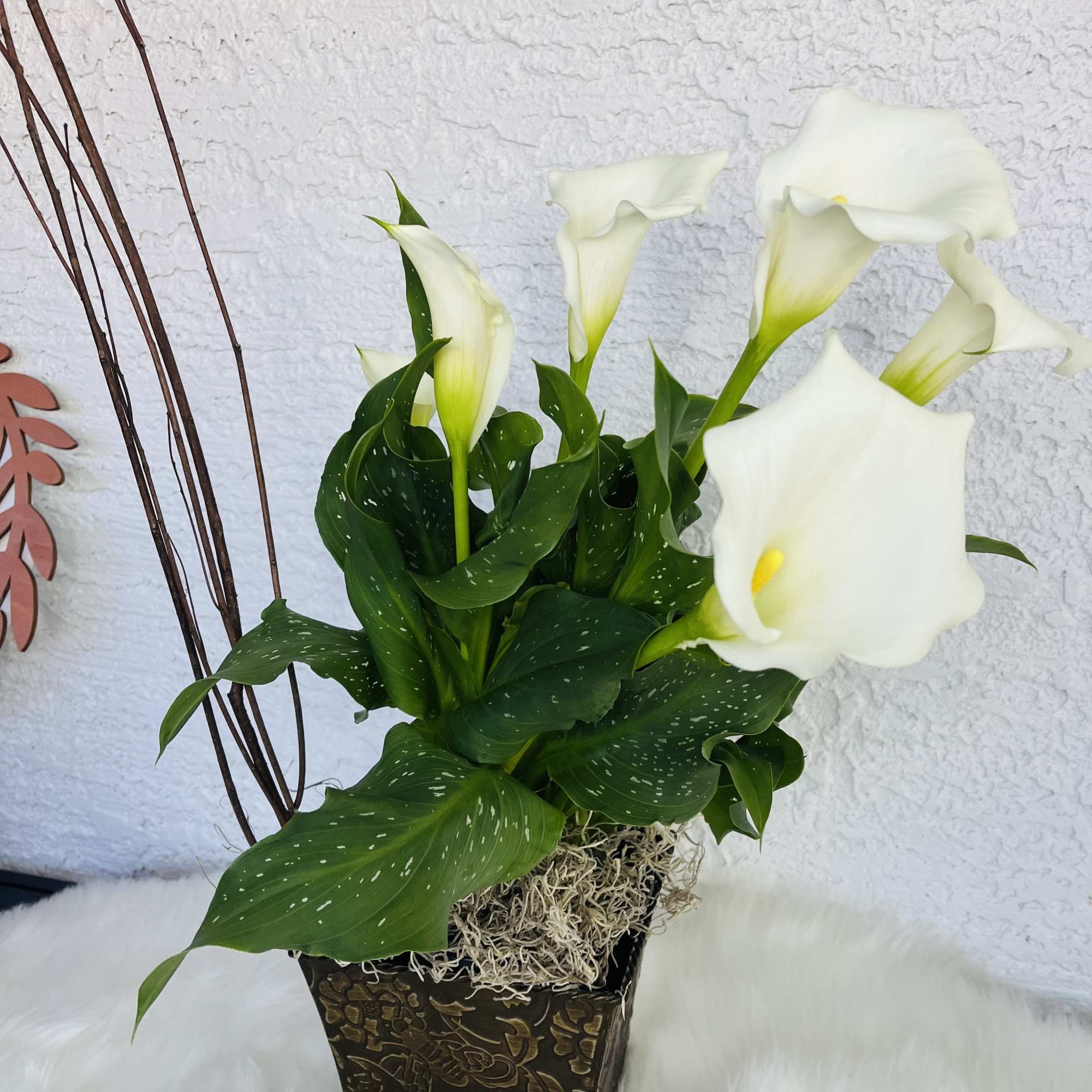 White calla lilies in a decorative square planter