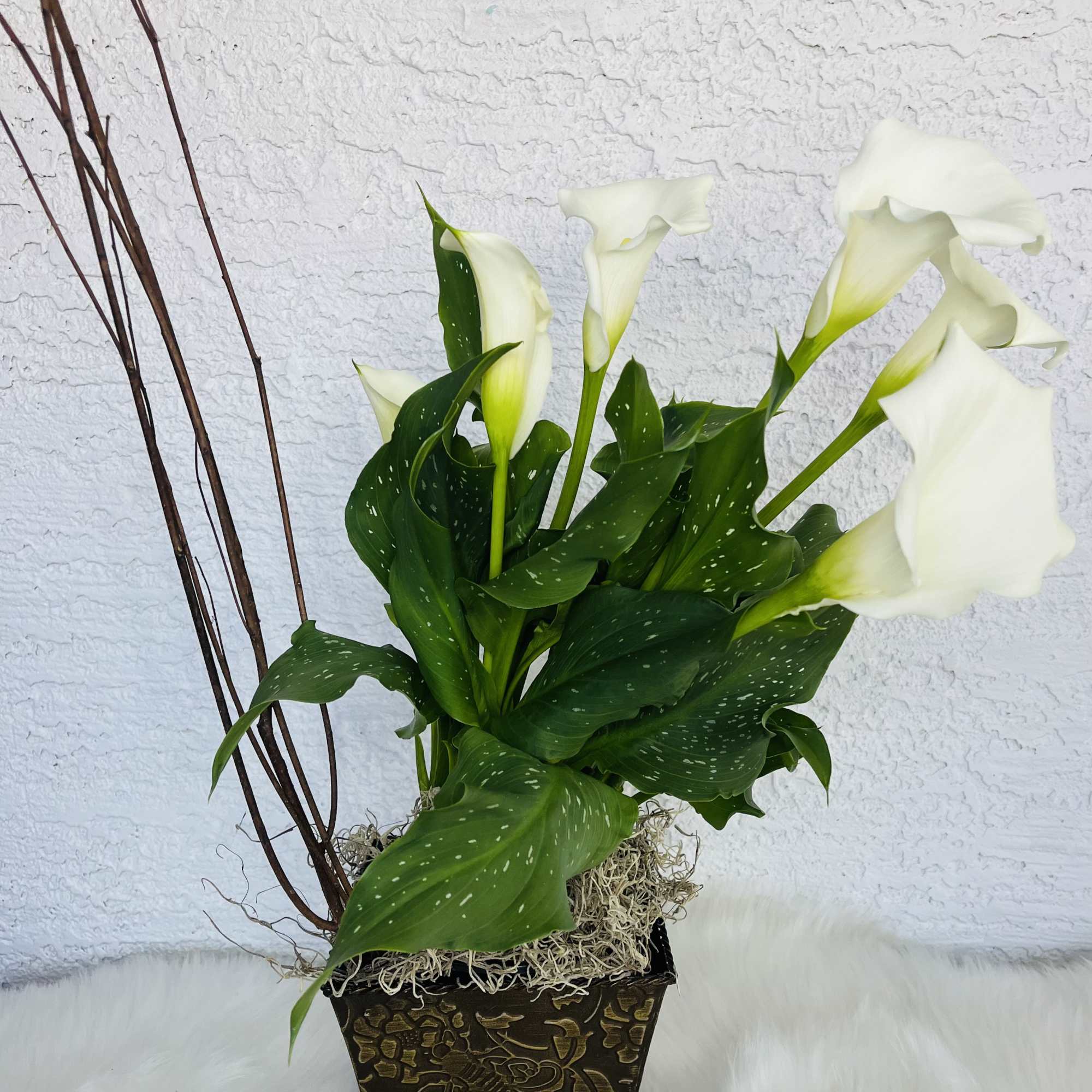 White calla lilies in a decorative square vase with speckled green leaves