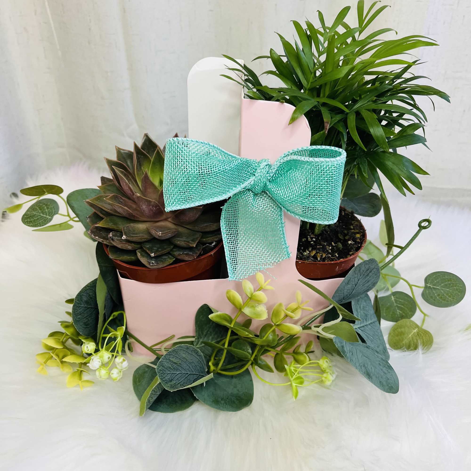 Two potted plants in a pink gift box with a turquoise bow, photo 2 of 2