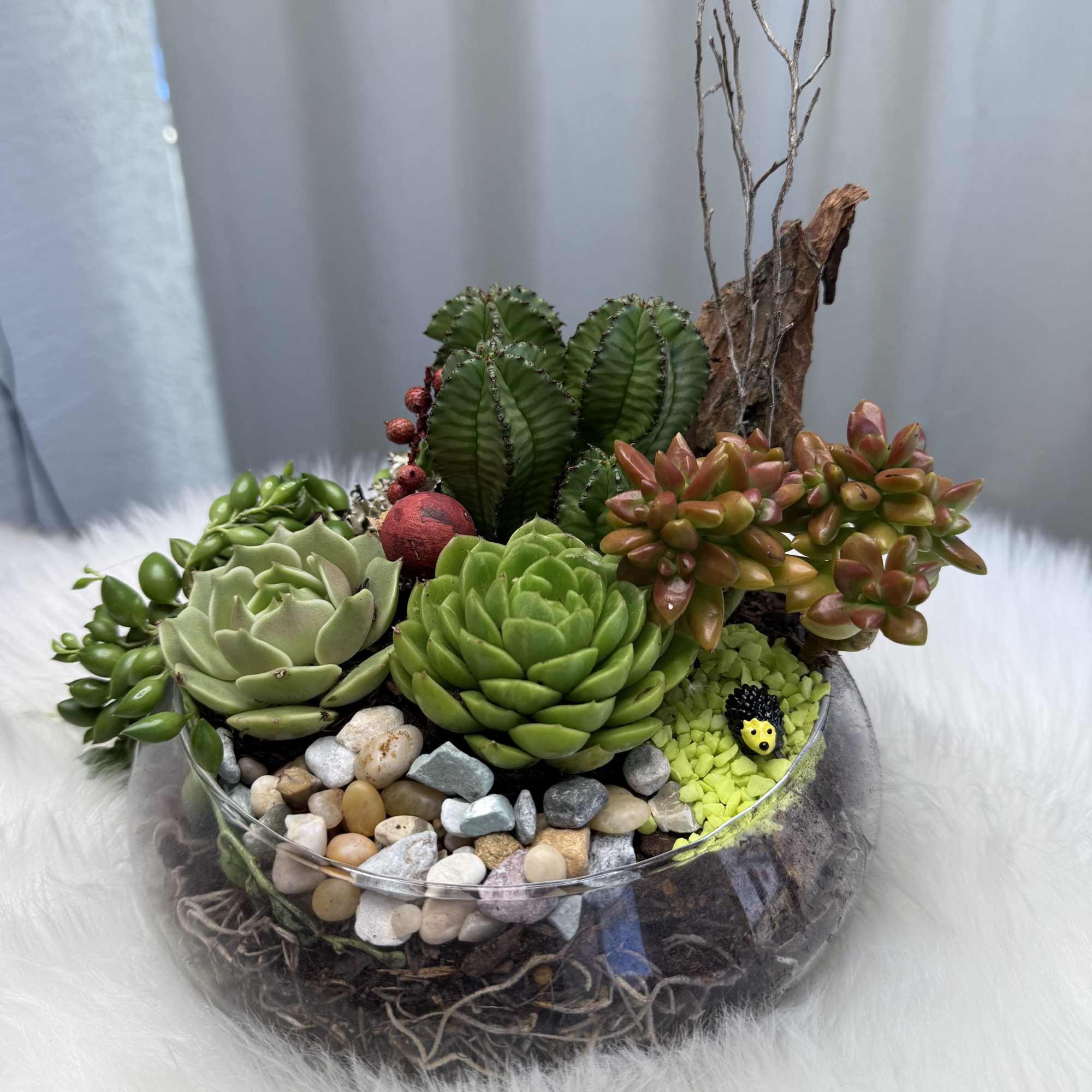 Succulent arrangement in a glass bowl with pebbles and driftwood