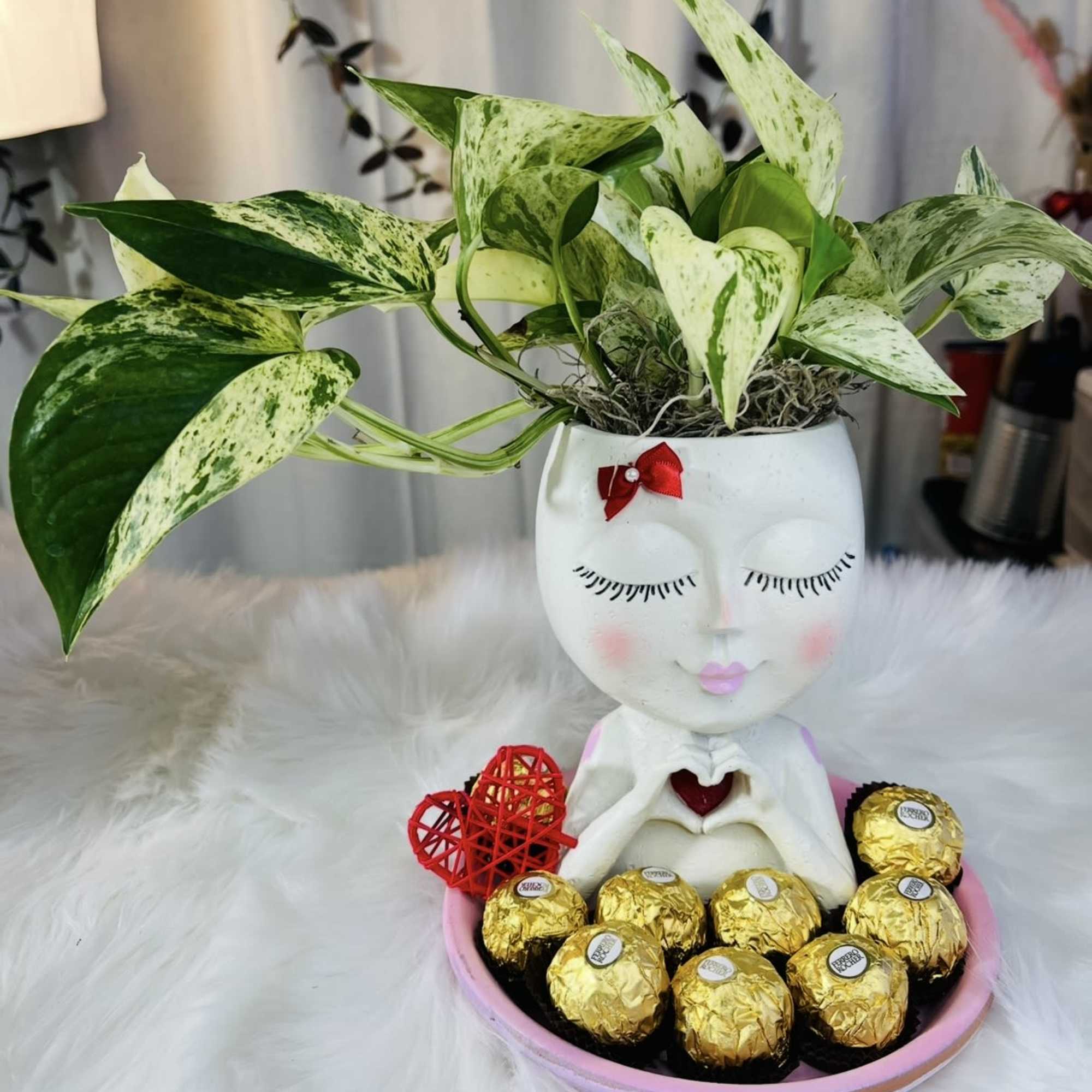 Potted variegated plant in a decorative face planter with chocolates