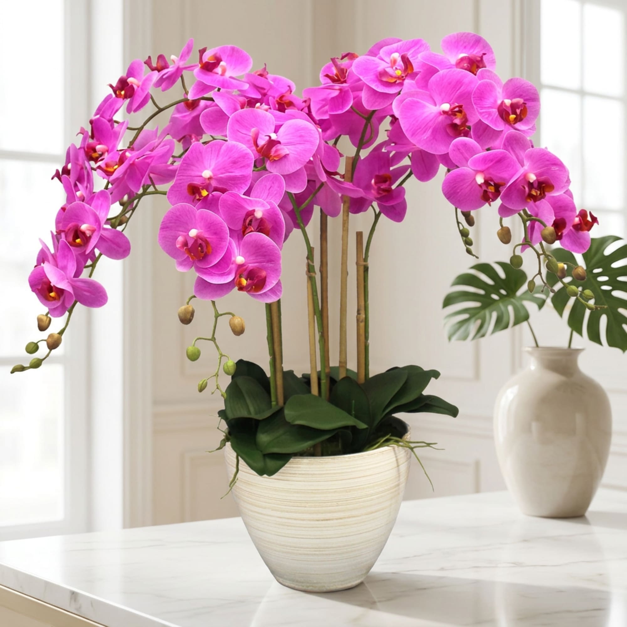 Pink orchid plant in a white ceramic pot on a table