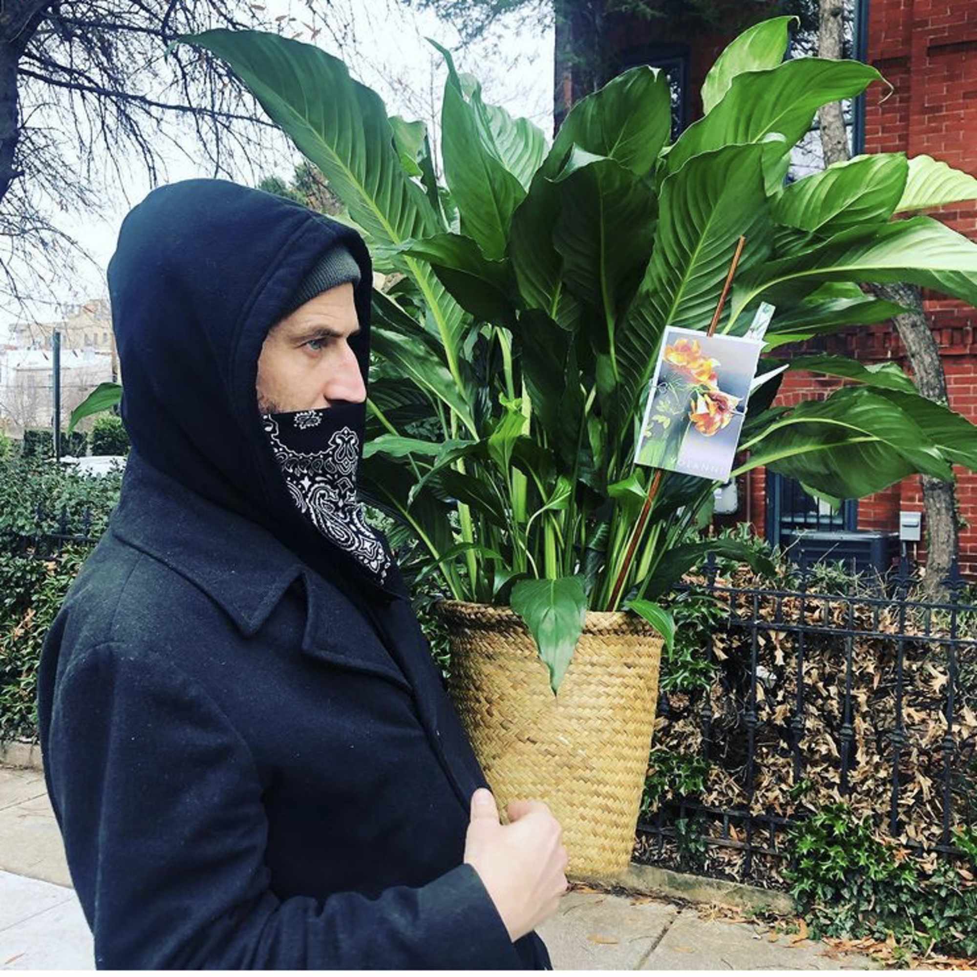 Person holding a large potted tropical plant in a woven basket