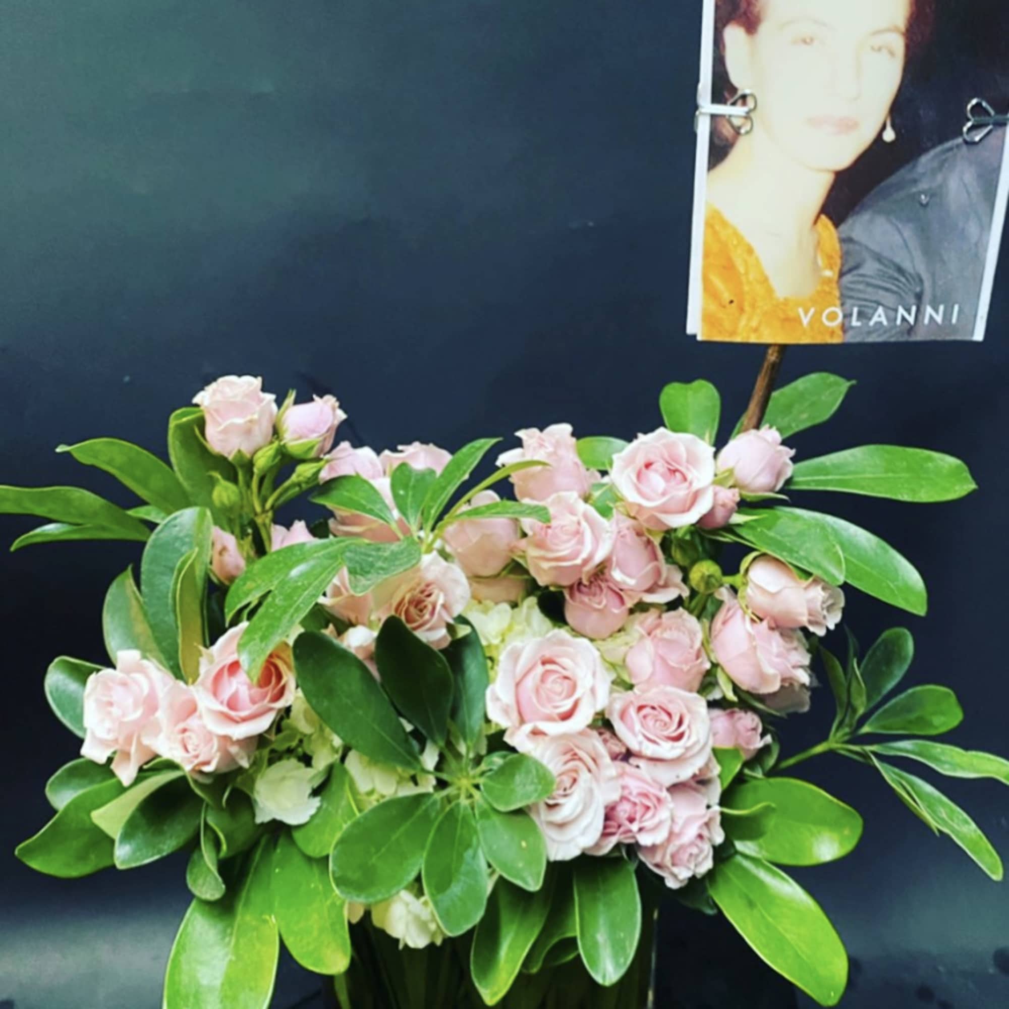 Pink roses arranged in a square glass vase with broad green leaves