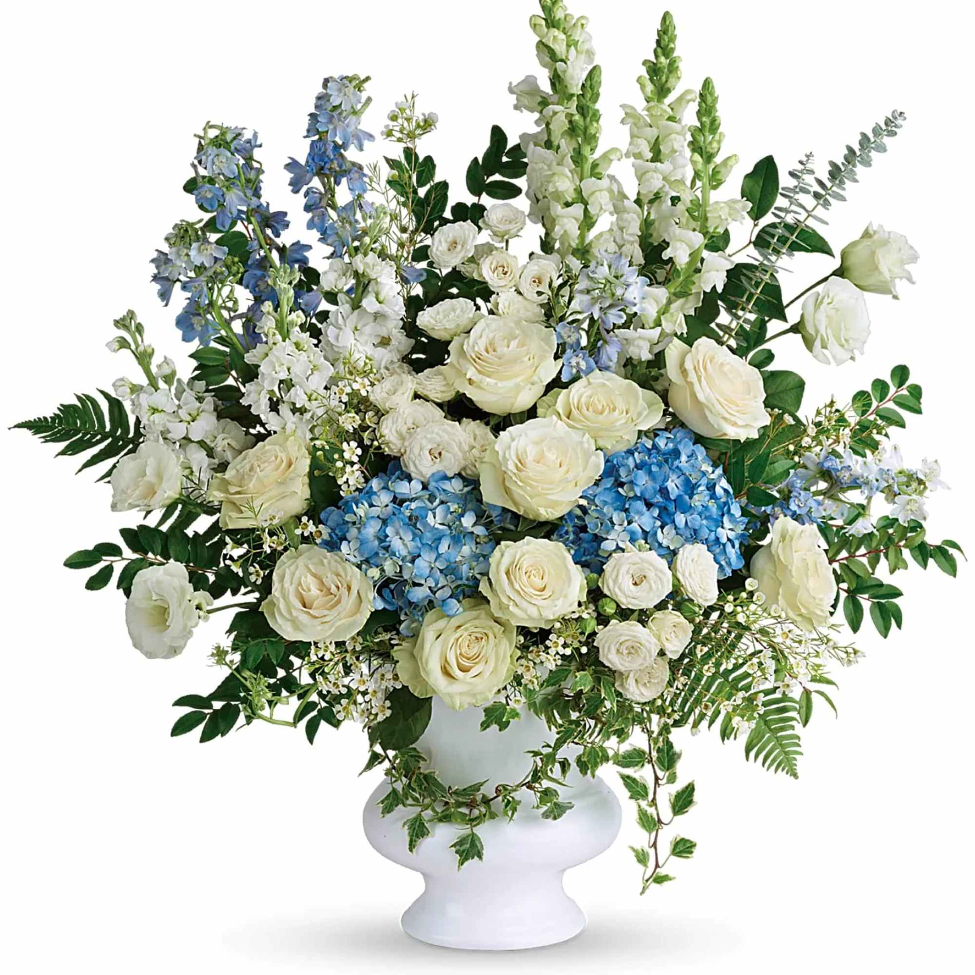 White roses and blue flowers arranged in a white vase