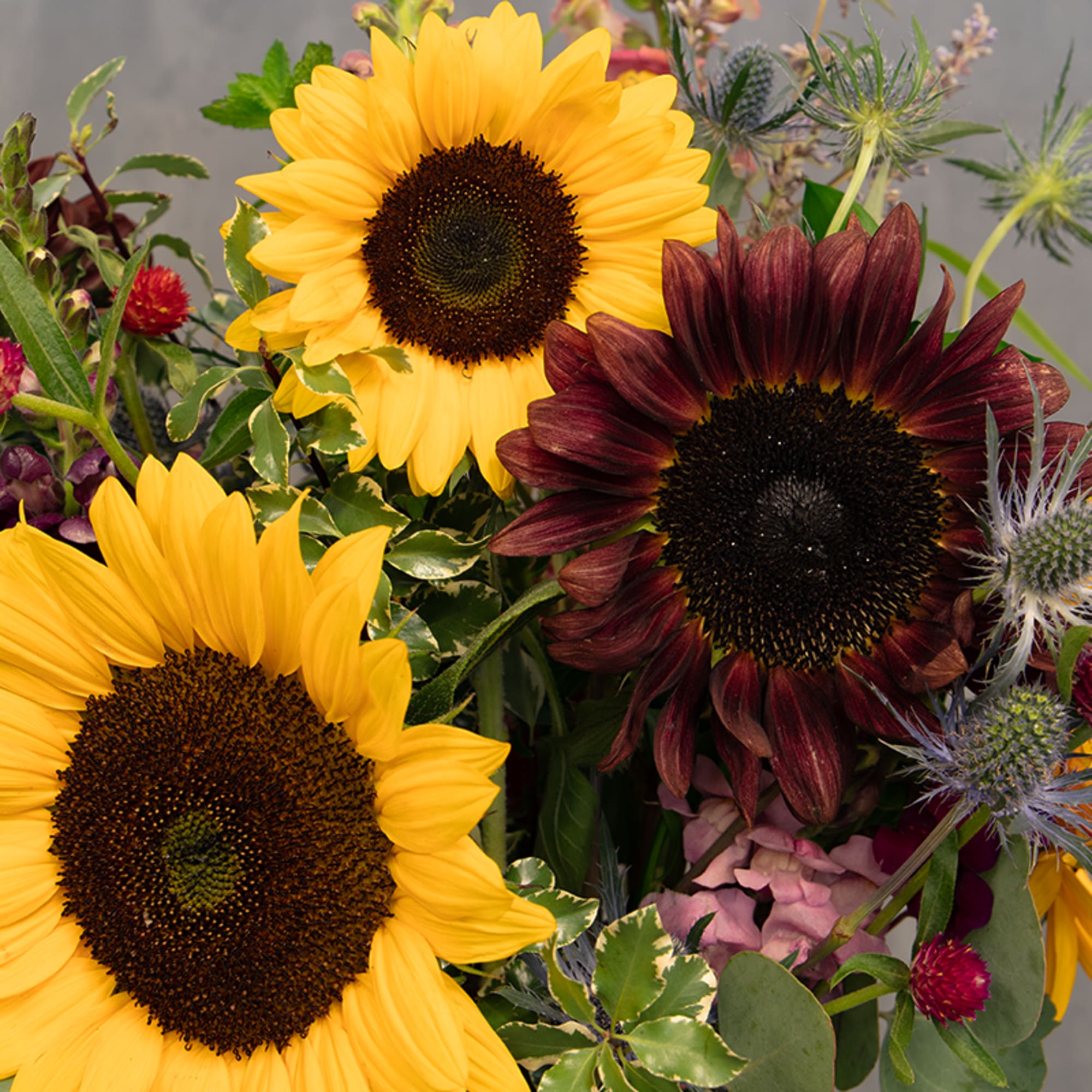 Bouquet with bright sunflowers and a dark burgundy sunflower bloom