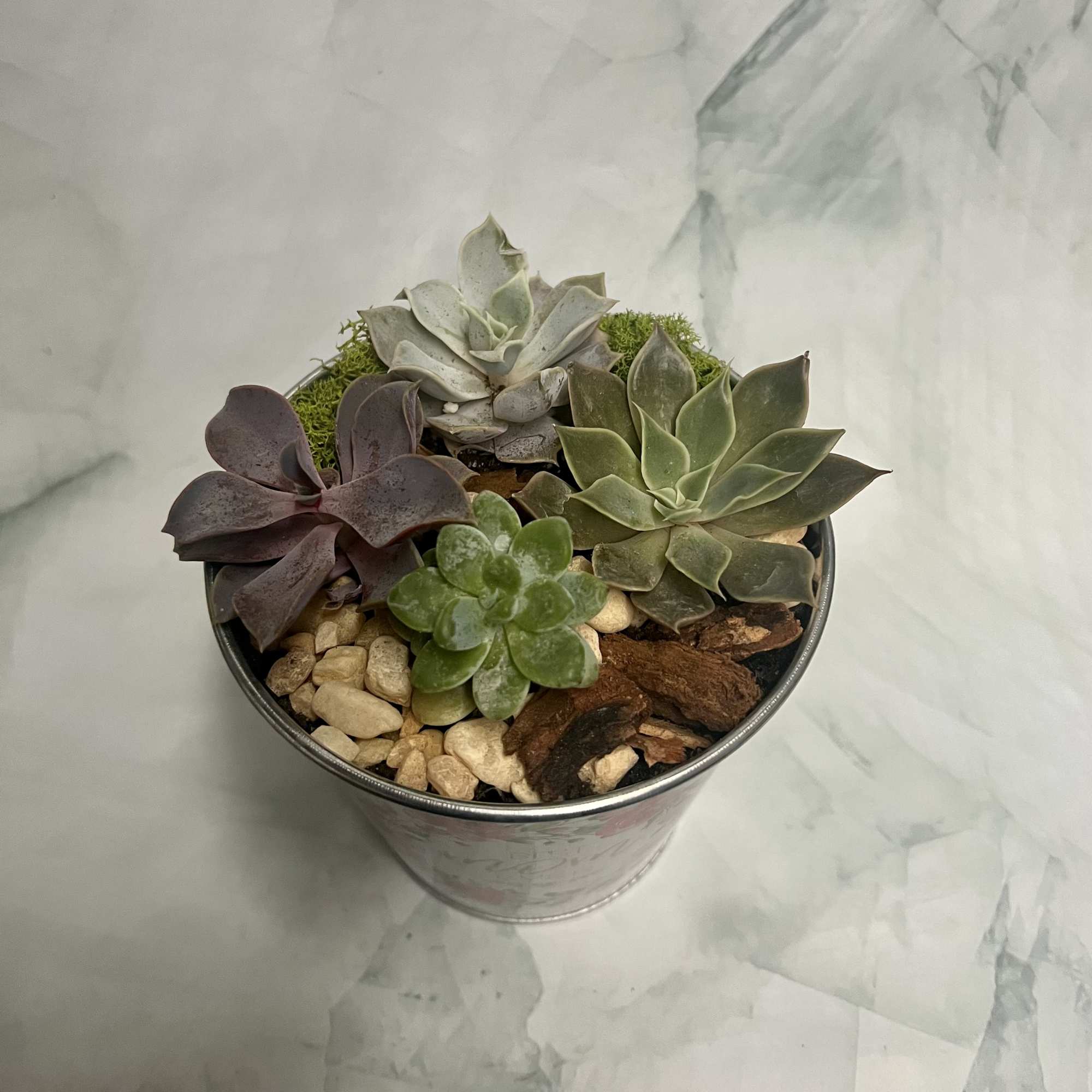 Small metal pot of assorted succulents topped with stones and bark chips.
