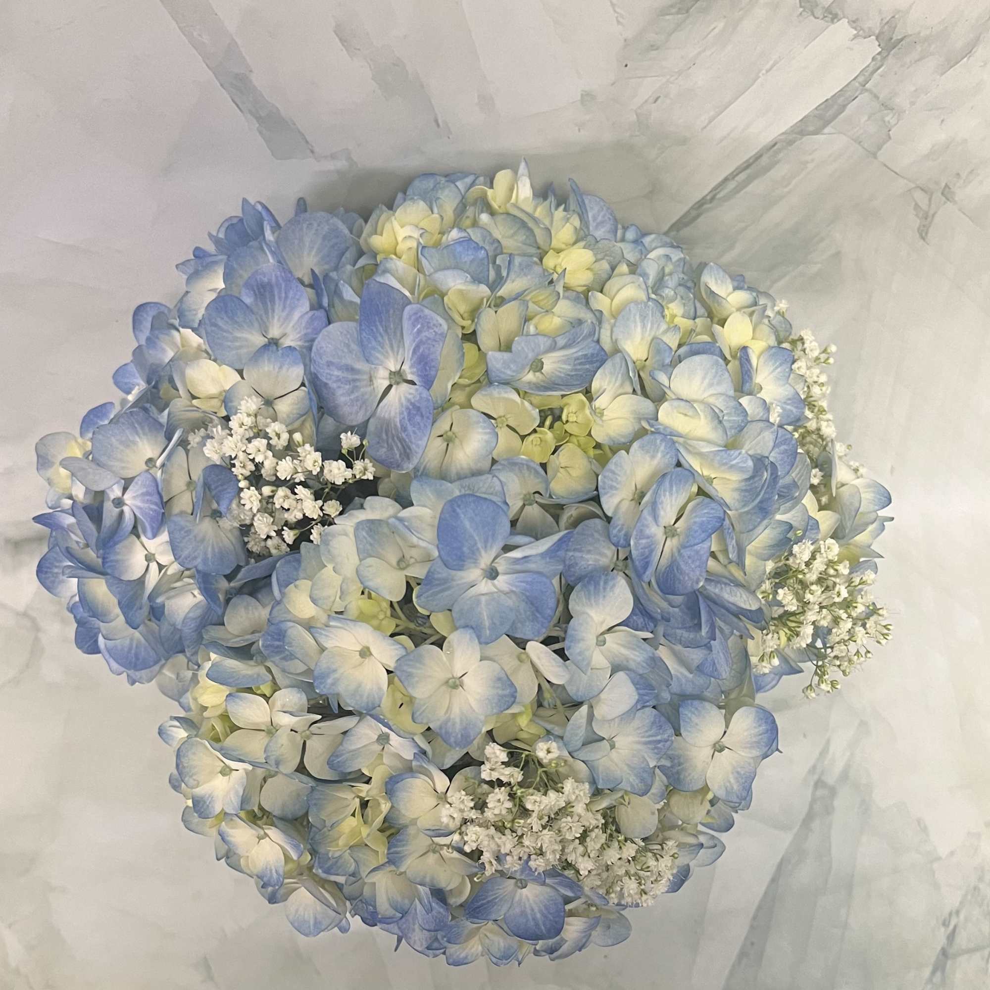 Round bouquet of blue and white hydrangeas with small white filler flowers