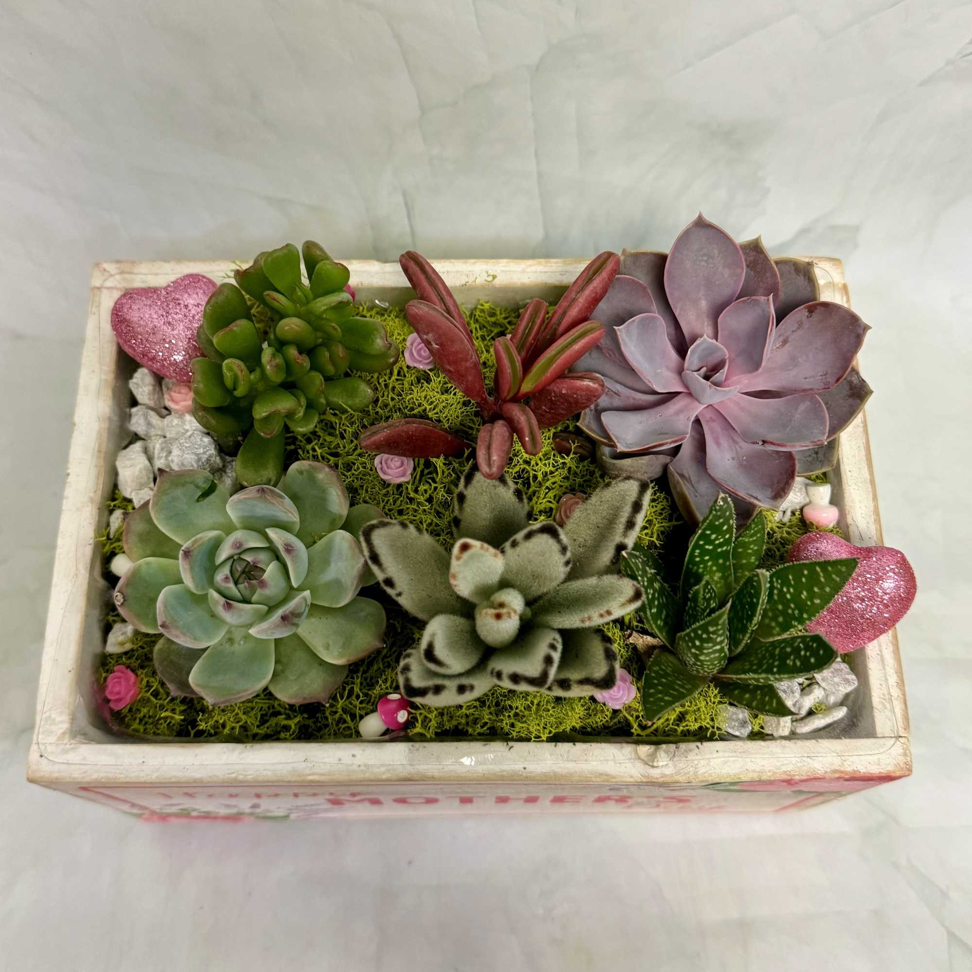 Succulent arrangement in a rectangular tray with decorative pink hearts