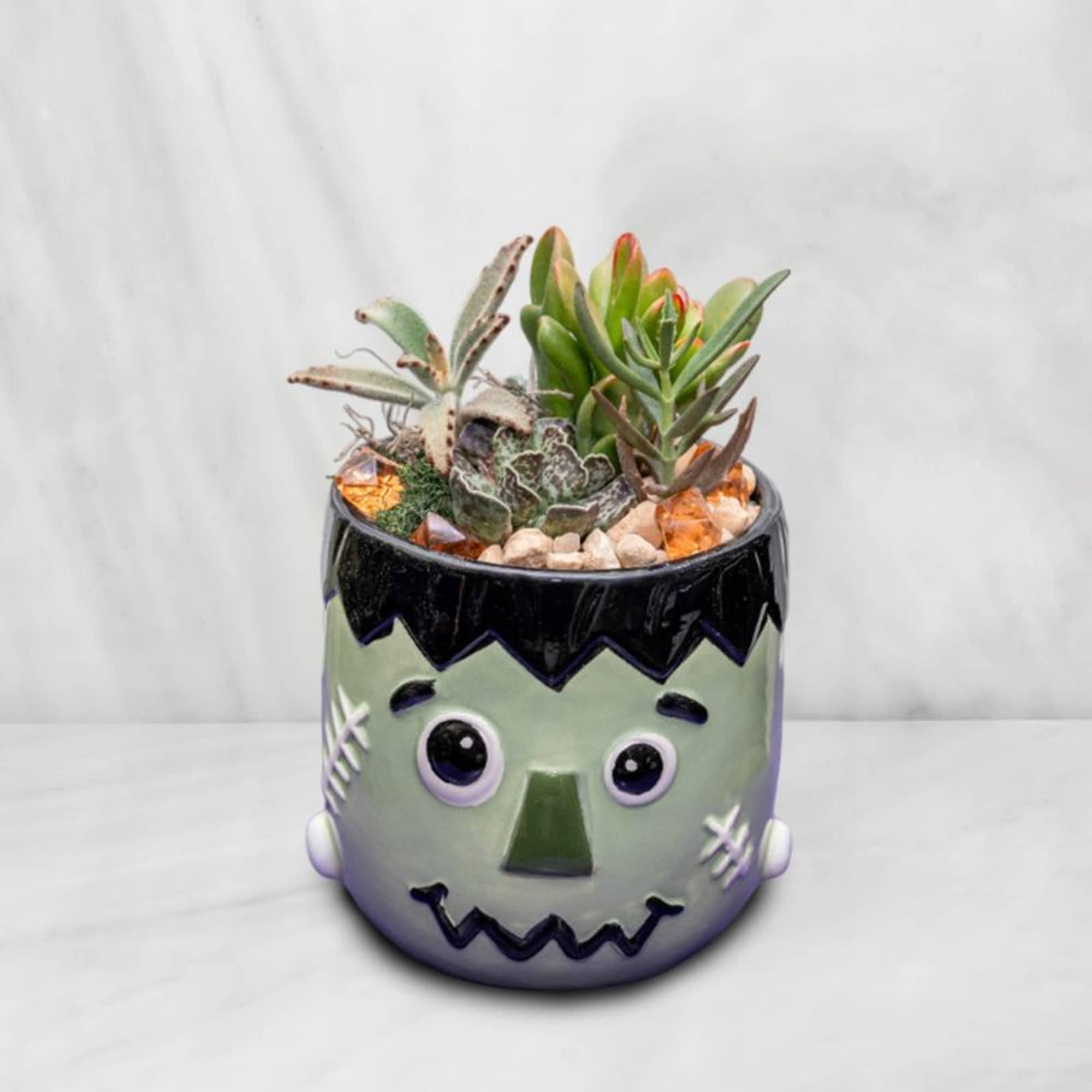 Succulent arrangement in a Frankenstein face planter, photo 2 of 2