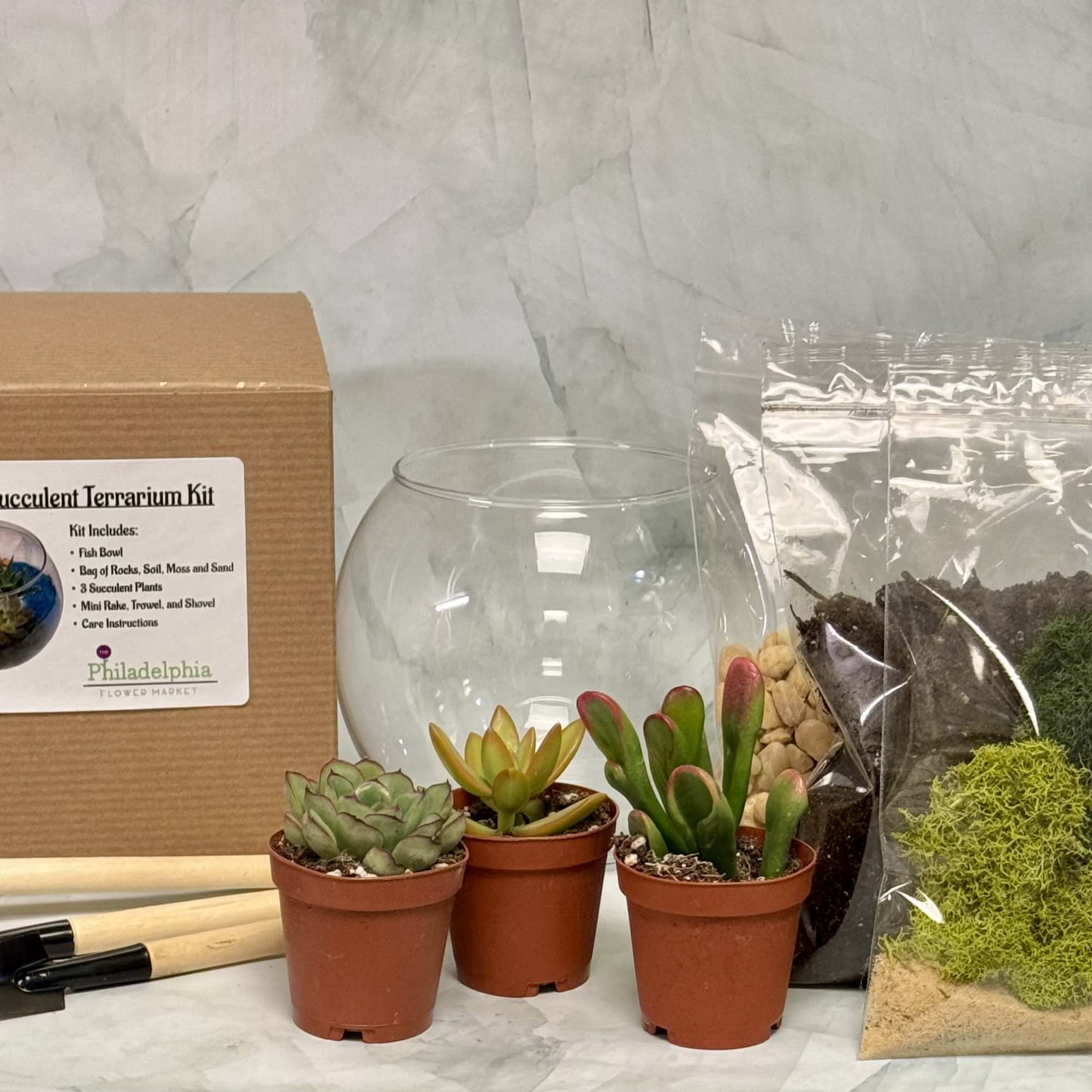 DIY succulent terrarium kit with three potted succulents, glass bowl, soil, moss, rocks, and tools