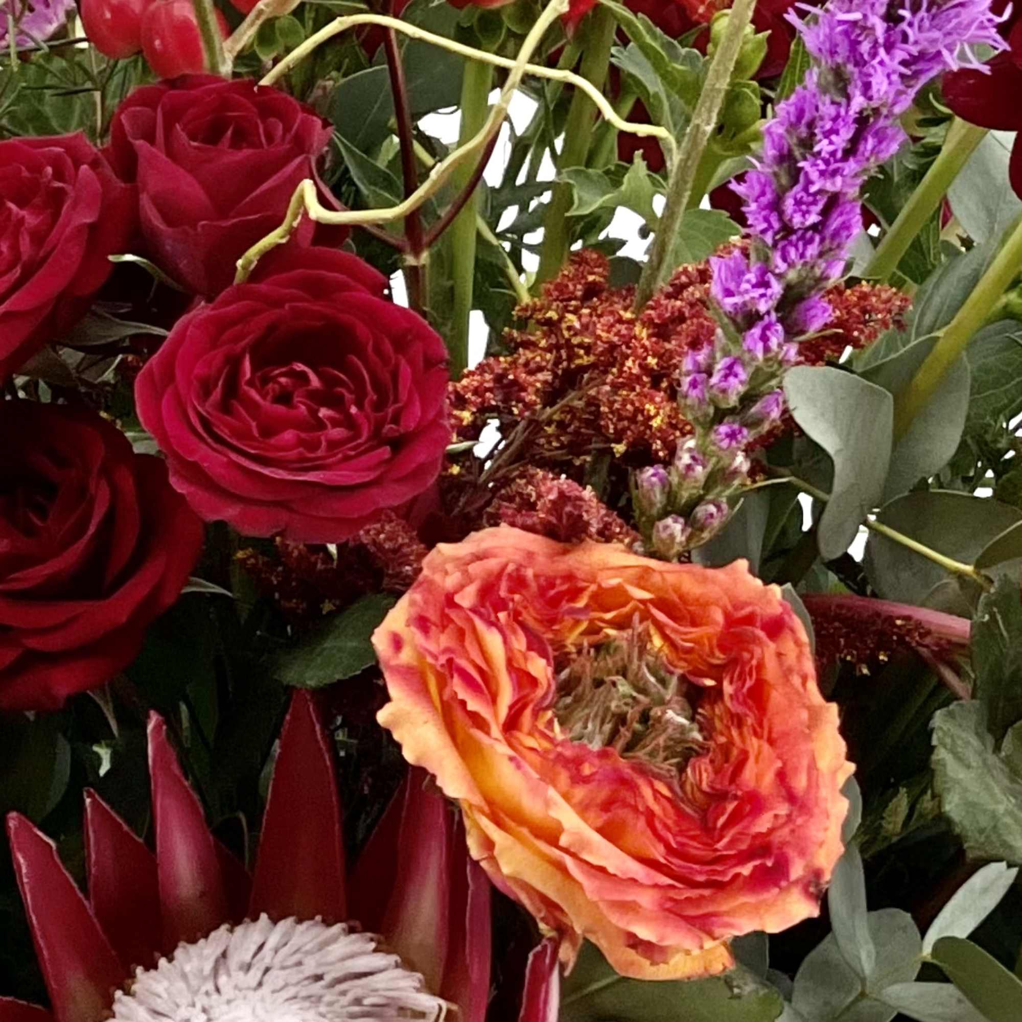 Mixed bouquet with red roses, a protea, and purple orchids