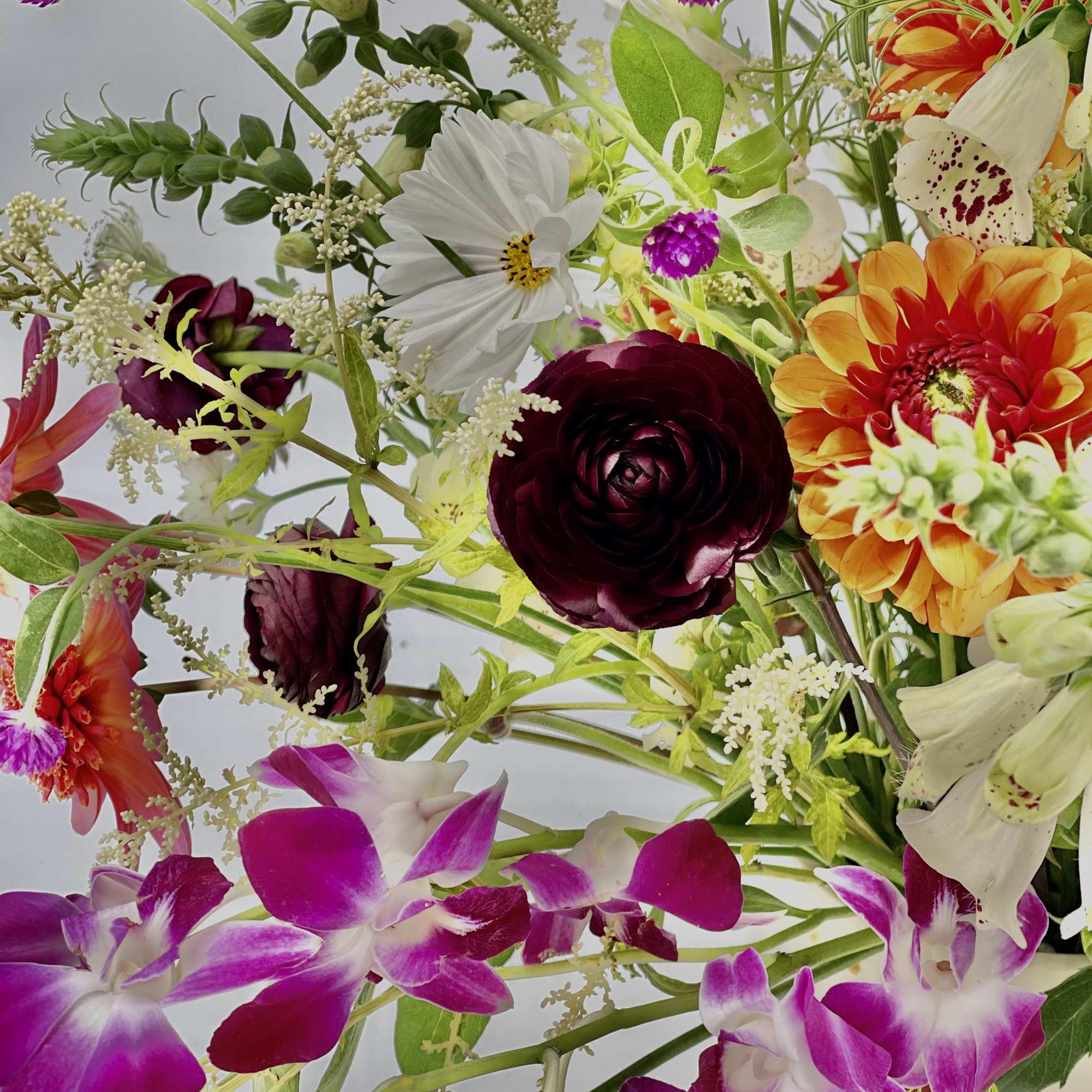 Mixed bouquet with purple orchids, orange gerbera daisies, and white blooms