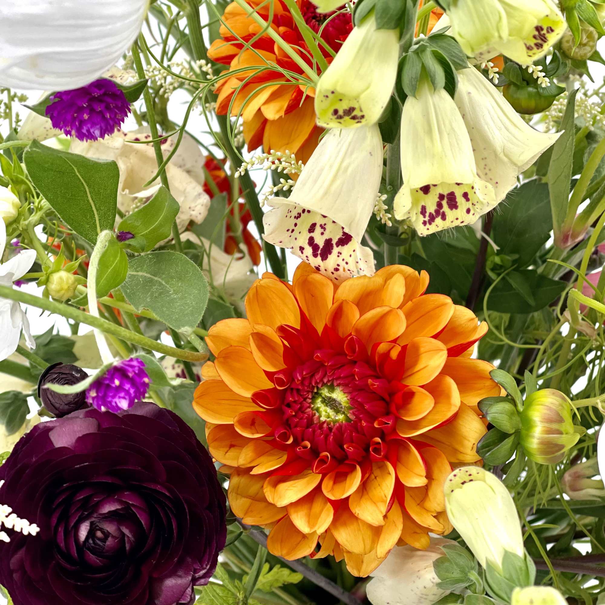 Close-up bouquet with orange and deep purple blooms and pale speckled flowers