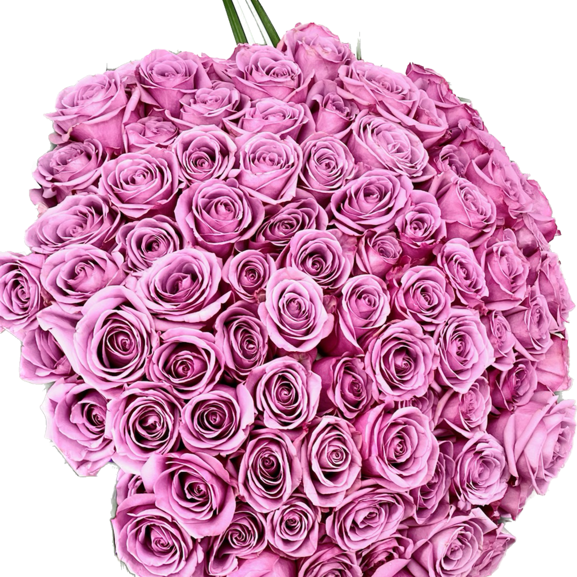A breathtaking expression of Love and devotion,100 ROSES OF A LOVE STORY