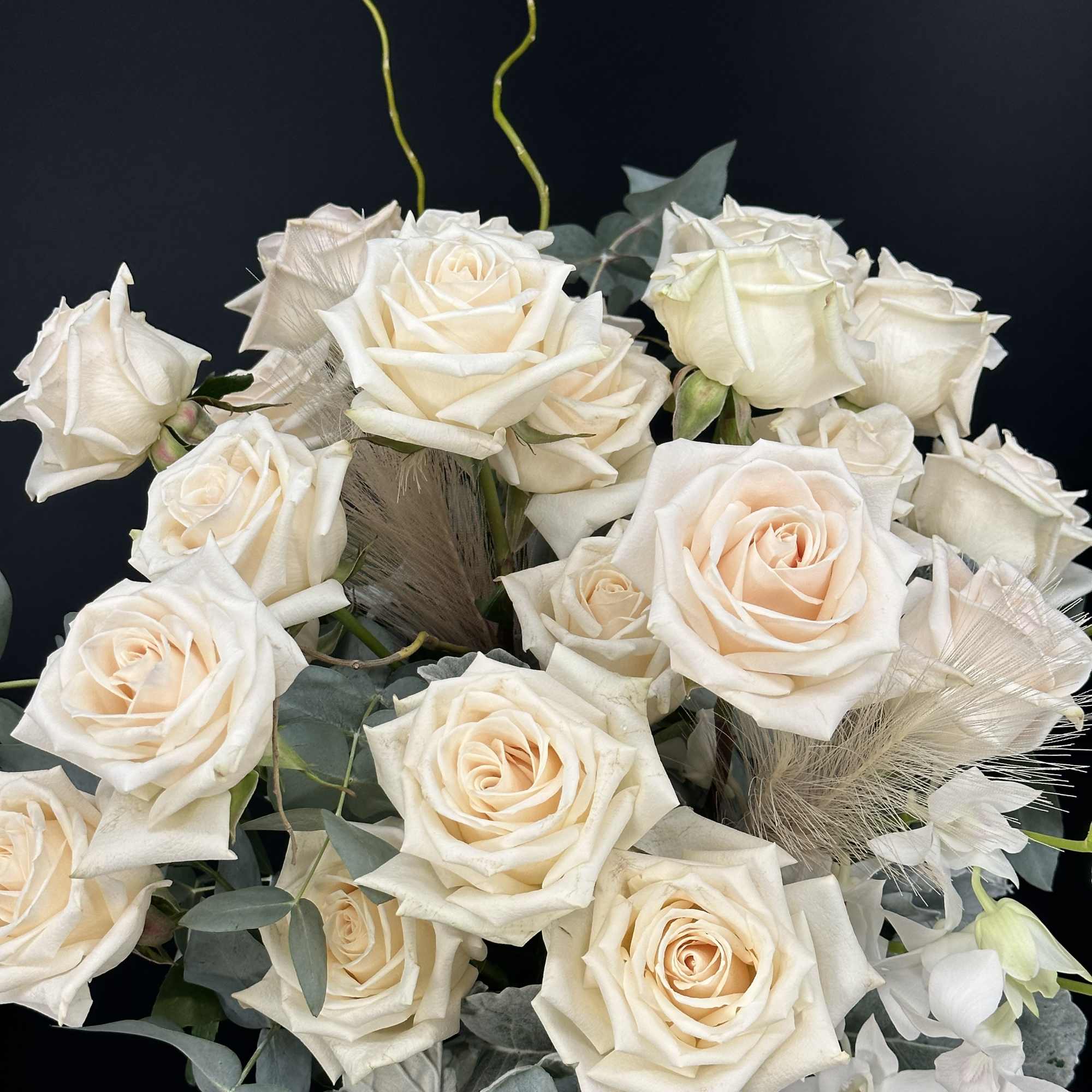 Bouquet of cream roses with pale greenery against a dark background