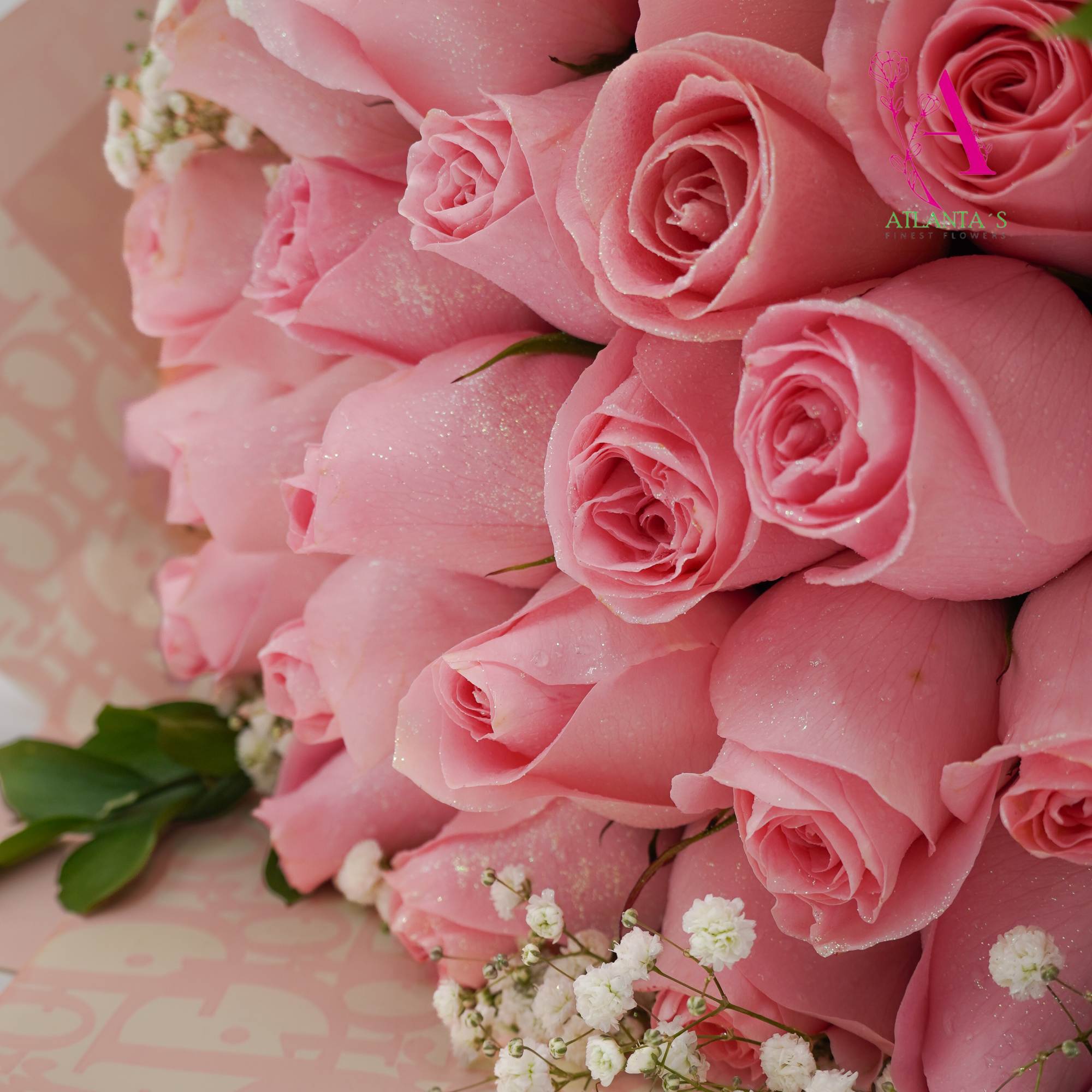 Close-up bouquet of pink roses with small white filler flowers
