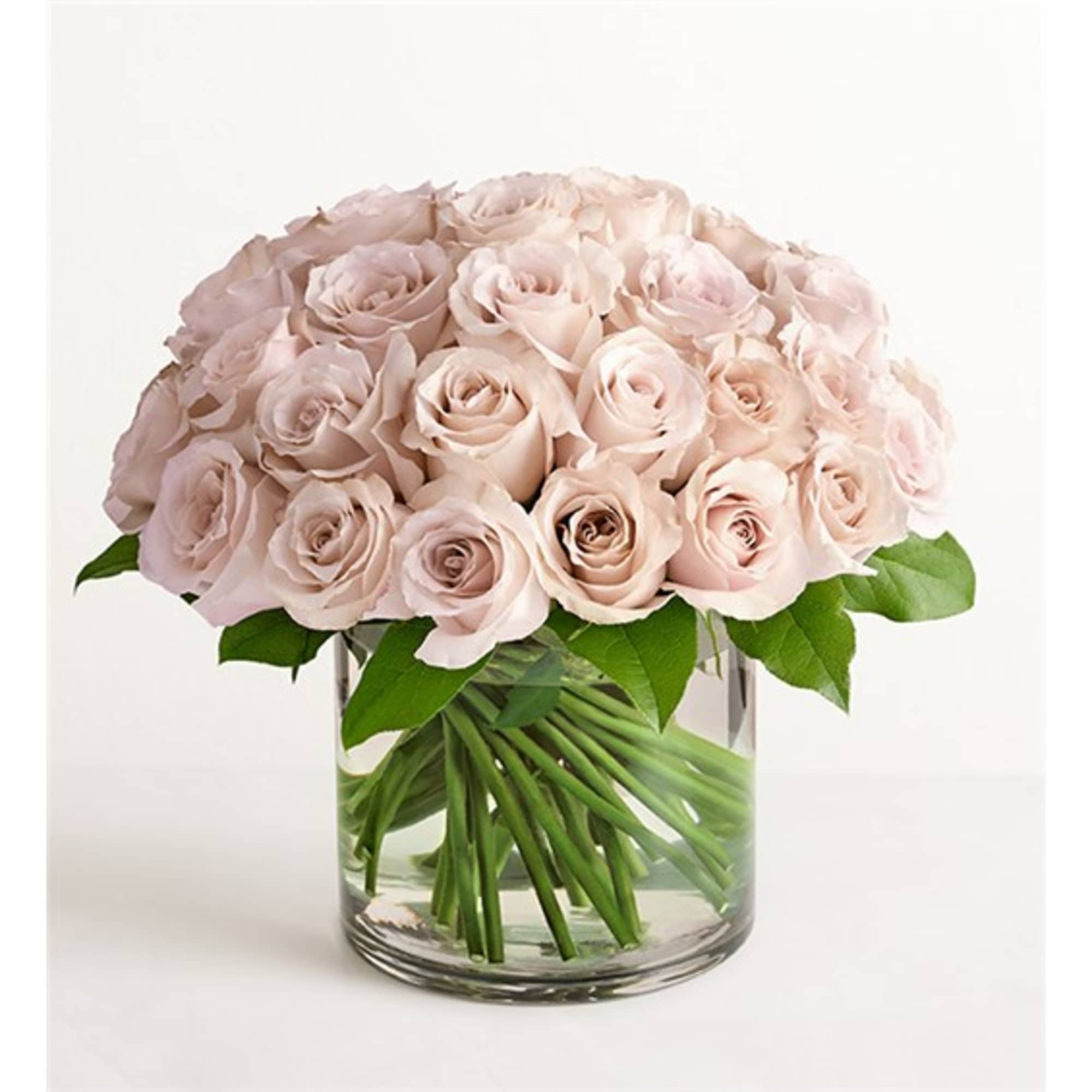 Bouquet of pale pink roses in a clear glass vase