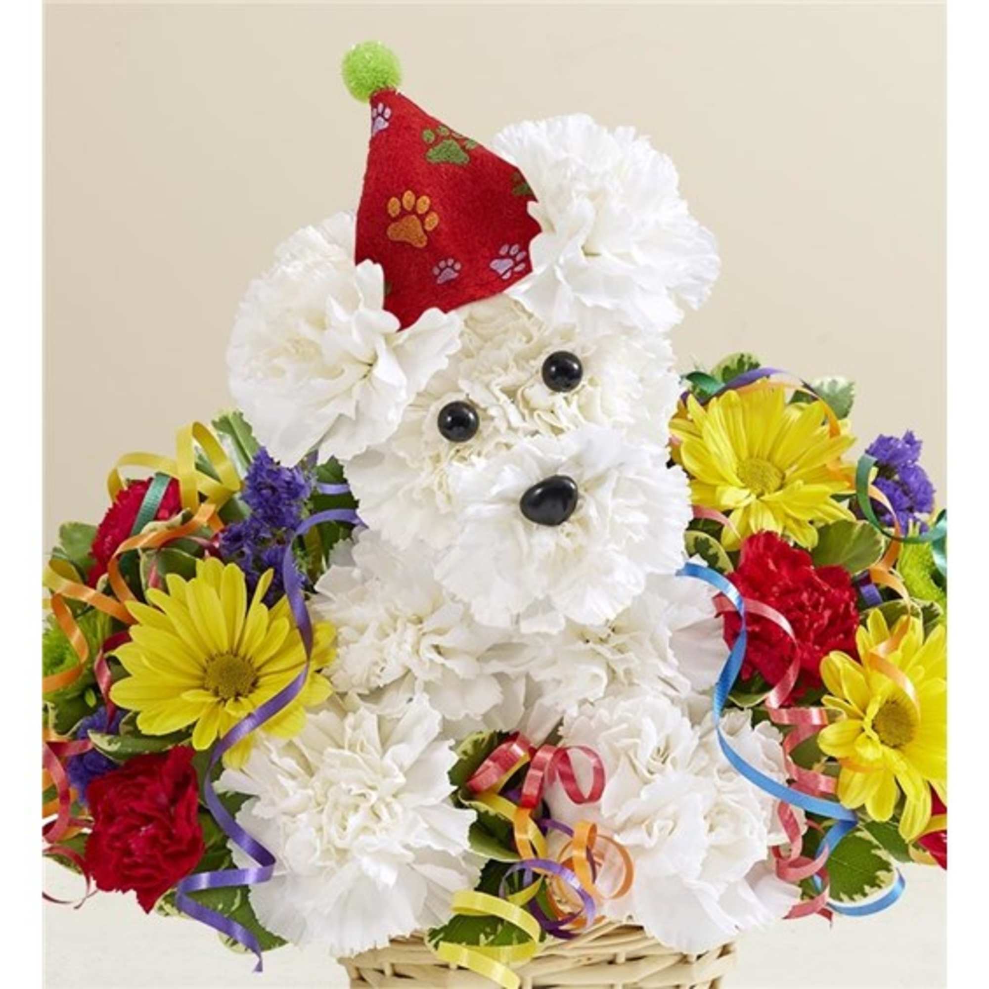 White flower dog arrangement with a red party hat and colorful ribbon curls
