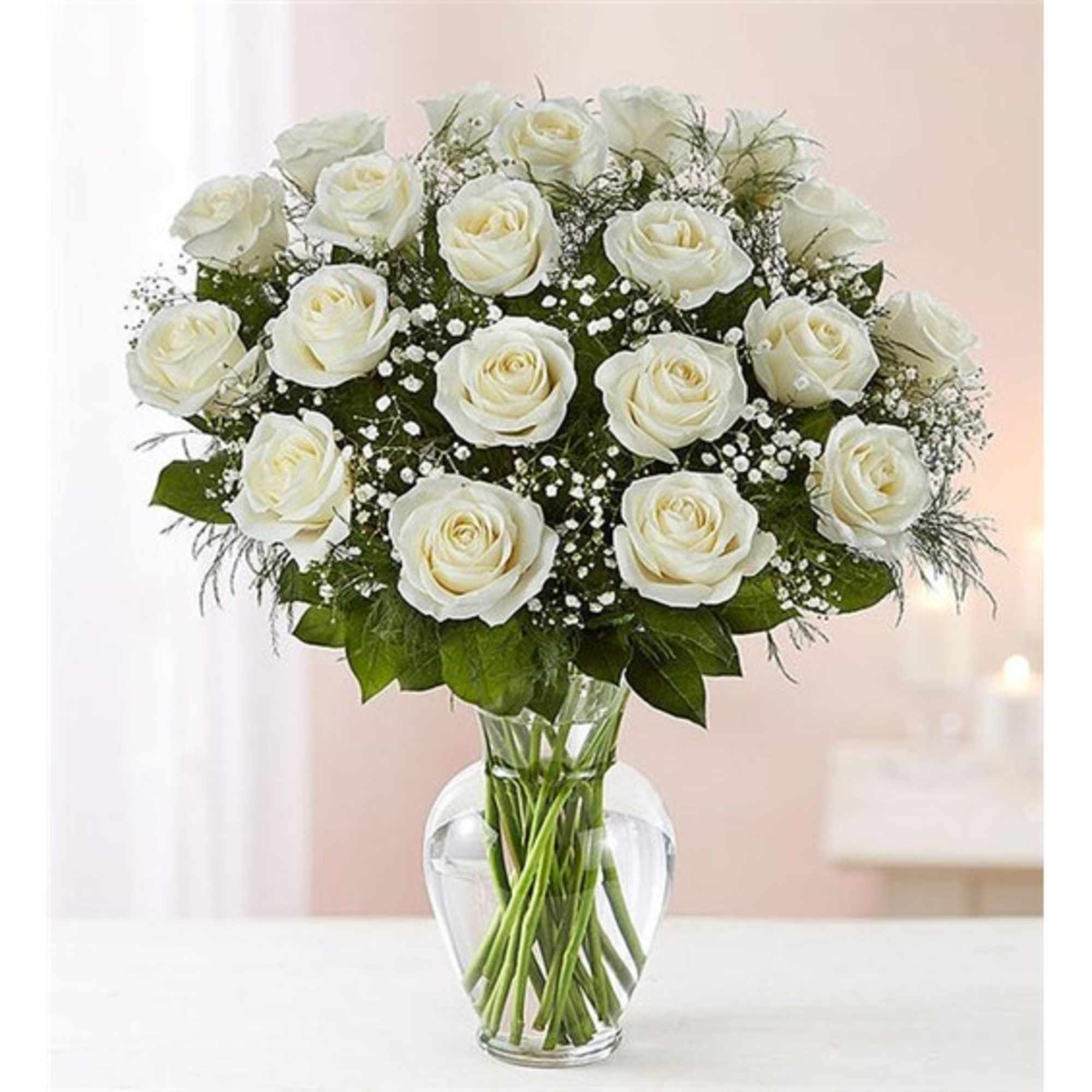 White roses arranged in a clear glass vase with baby's breath