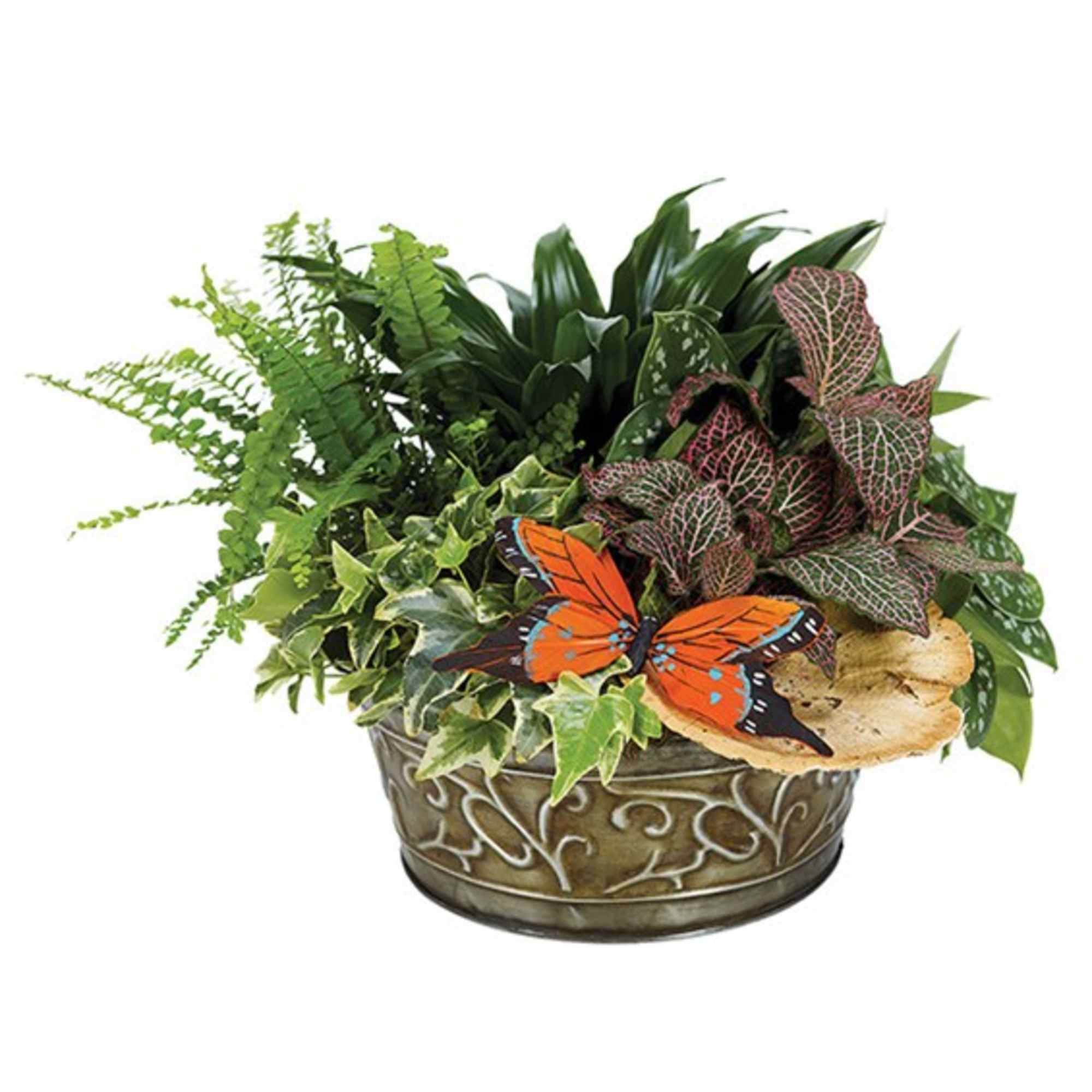 Mixed potted plants in a decorative metal container with a butterfly accent