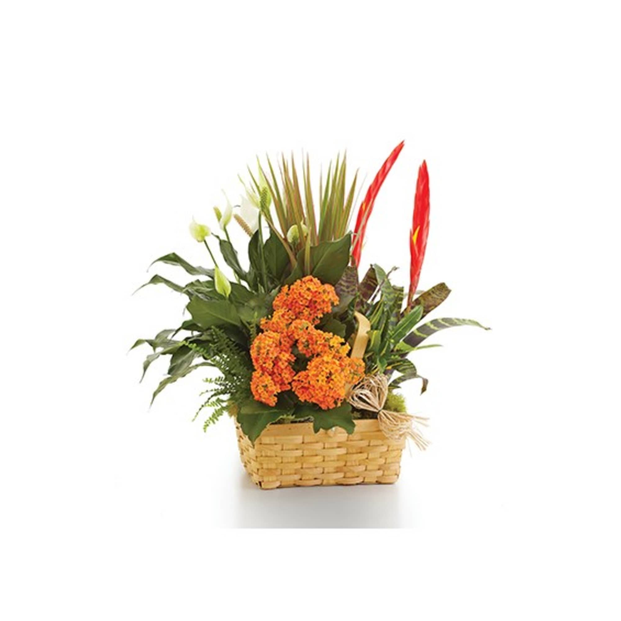 Tropical floral arrangement in a woven basket with orange blooms and red accents
