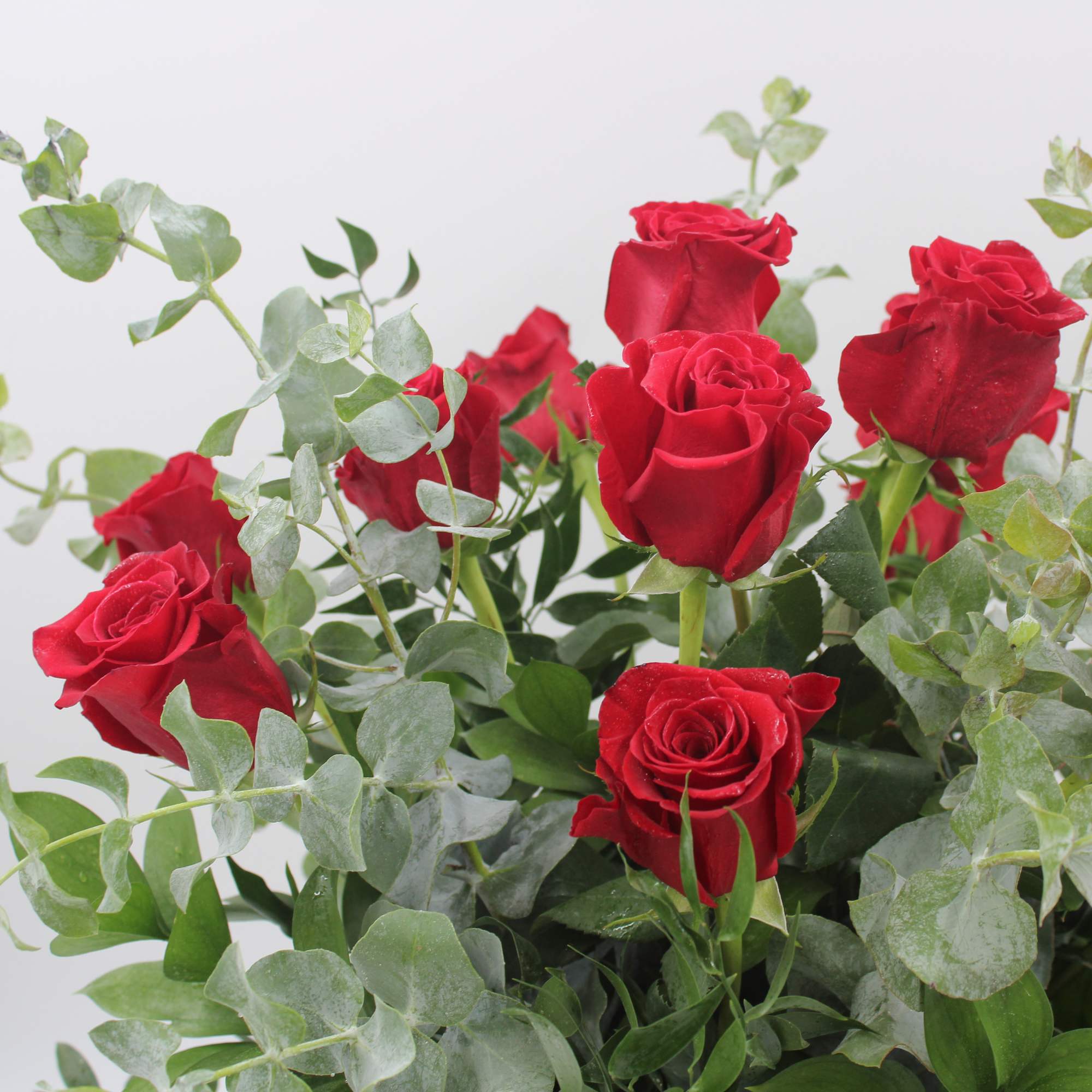 Red roses with eucalyptus foliage in a bouquet