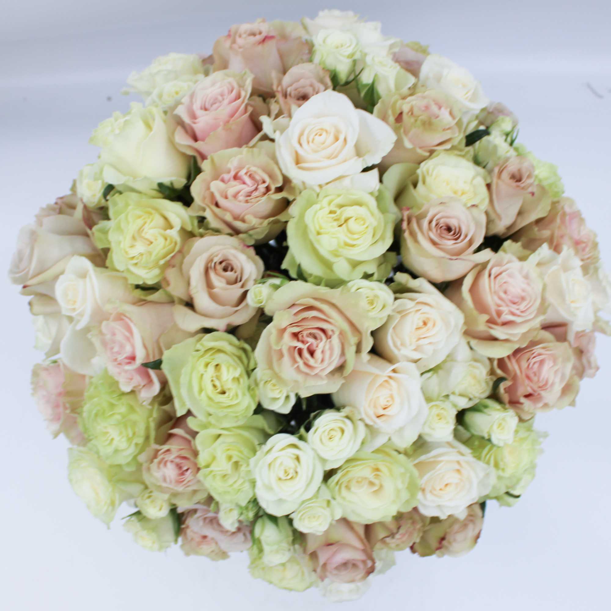 Round bouquet of pale pink, cream, and blush roses