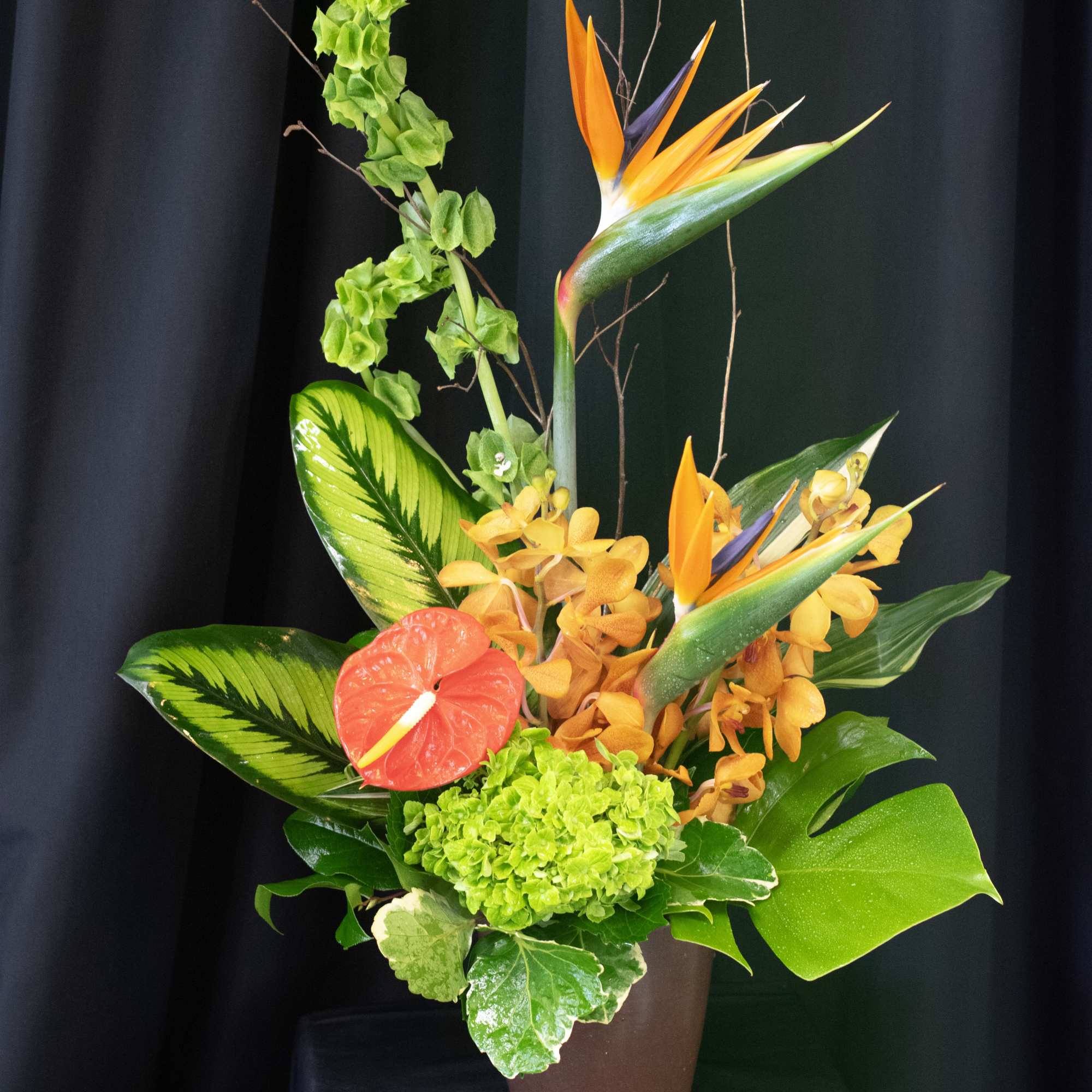 Tropical flower arrangement with orange bird-of-paradise and green hydrangea in a brown pot