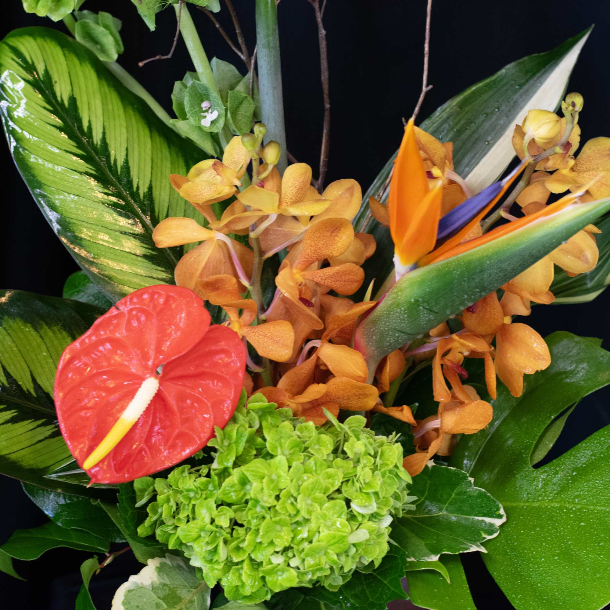 Tropical bouquet with orange orchids, red anthurium, and green hydrangea