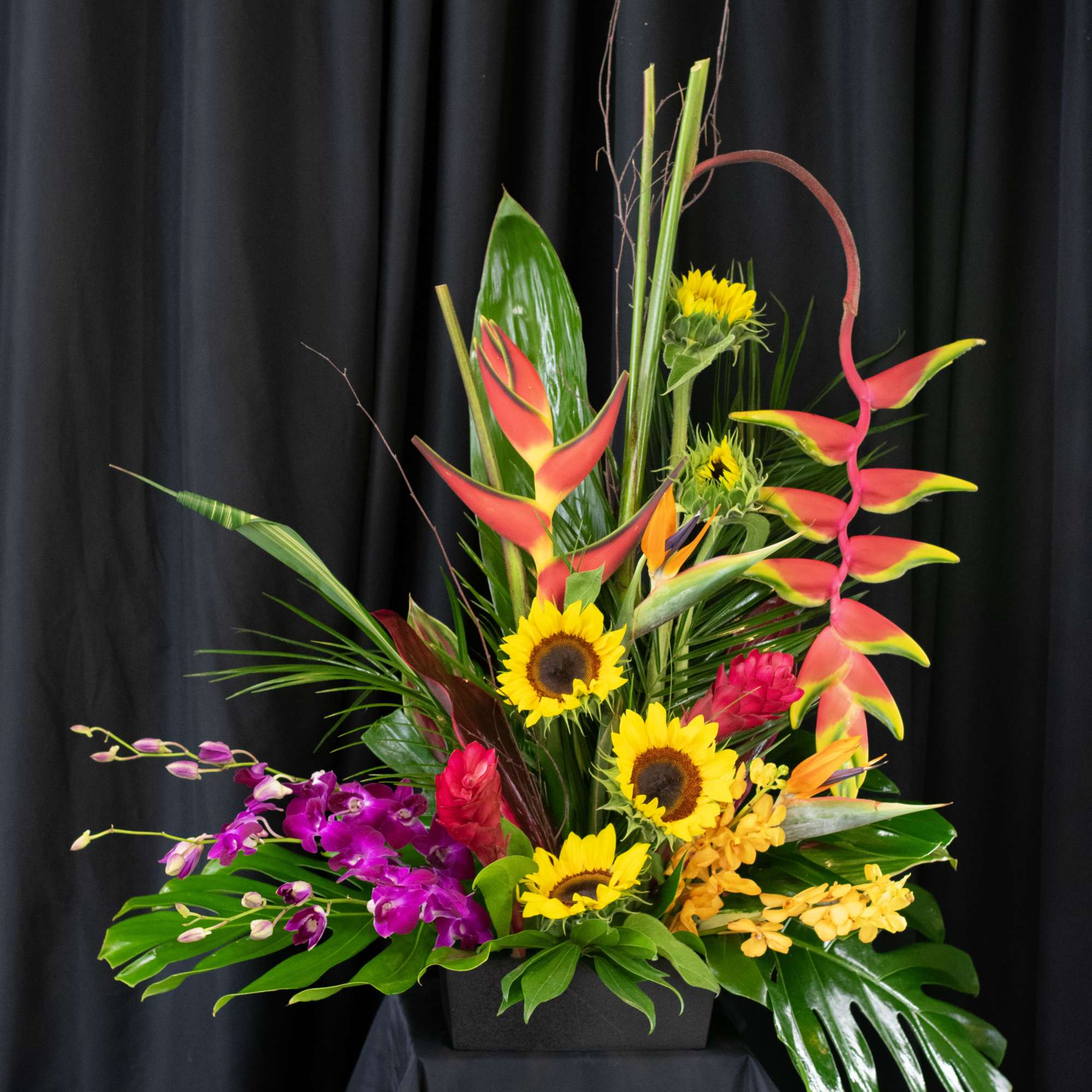 Tropical arrangement with sunflowers, orchids, and red heliconia in a black container
