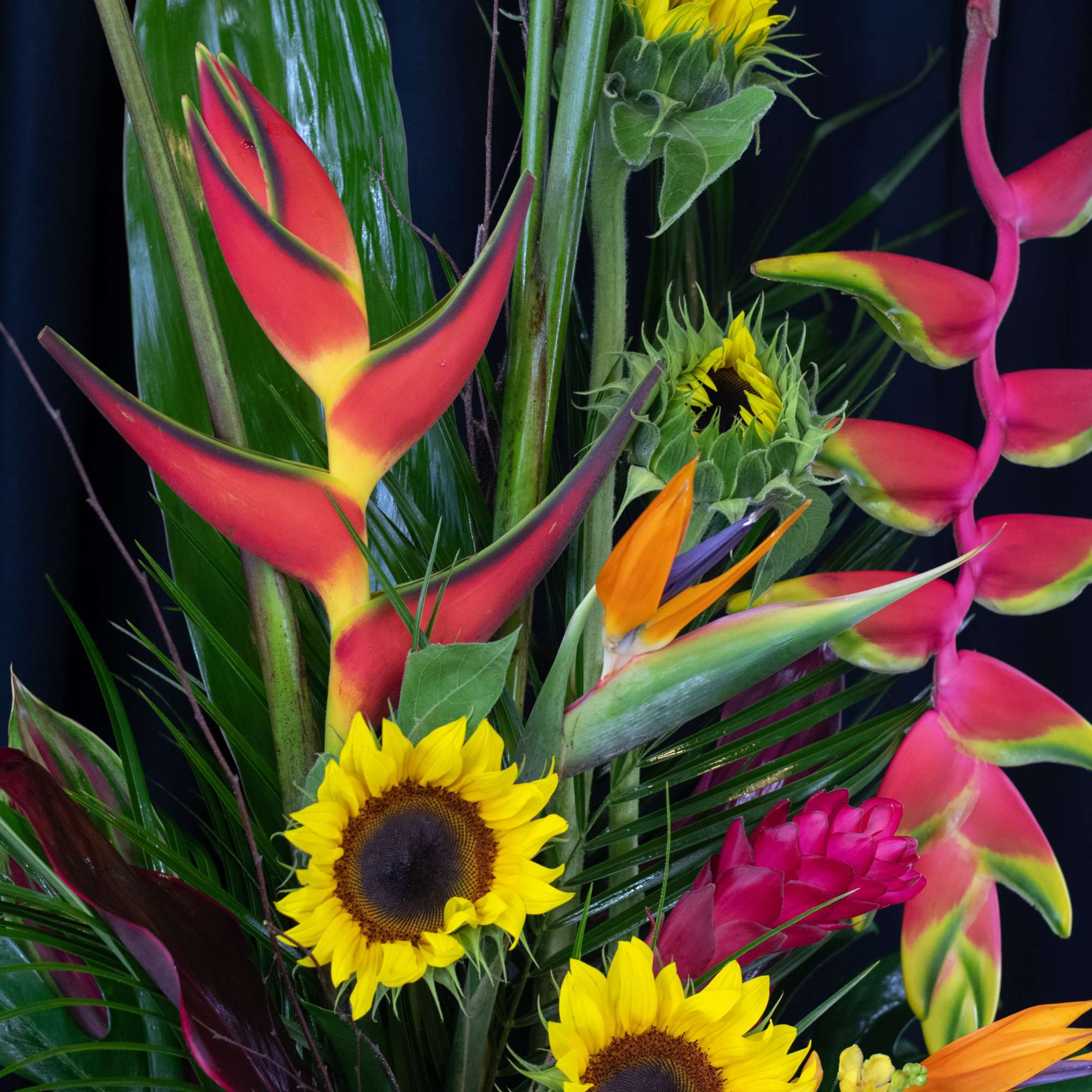 Tropical arrangement with heliconia and sunflowers