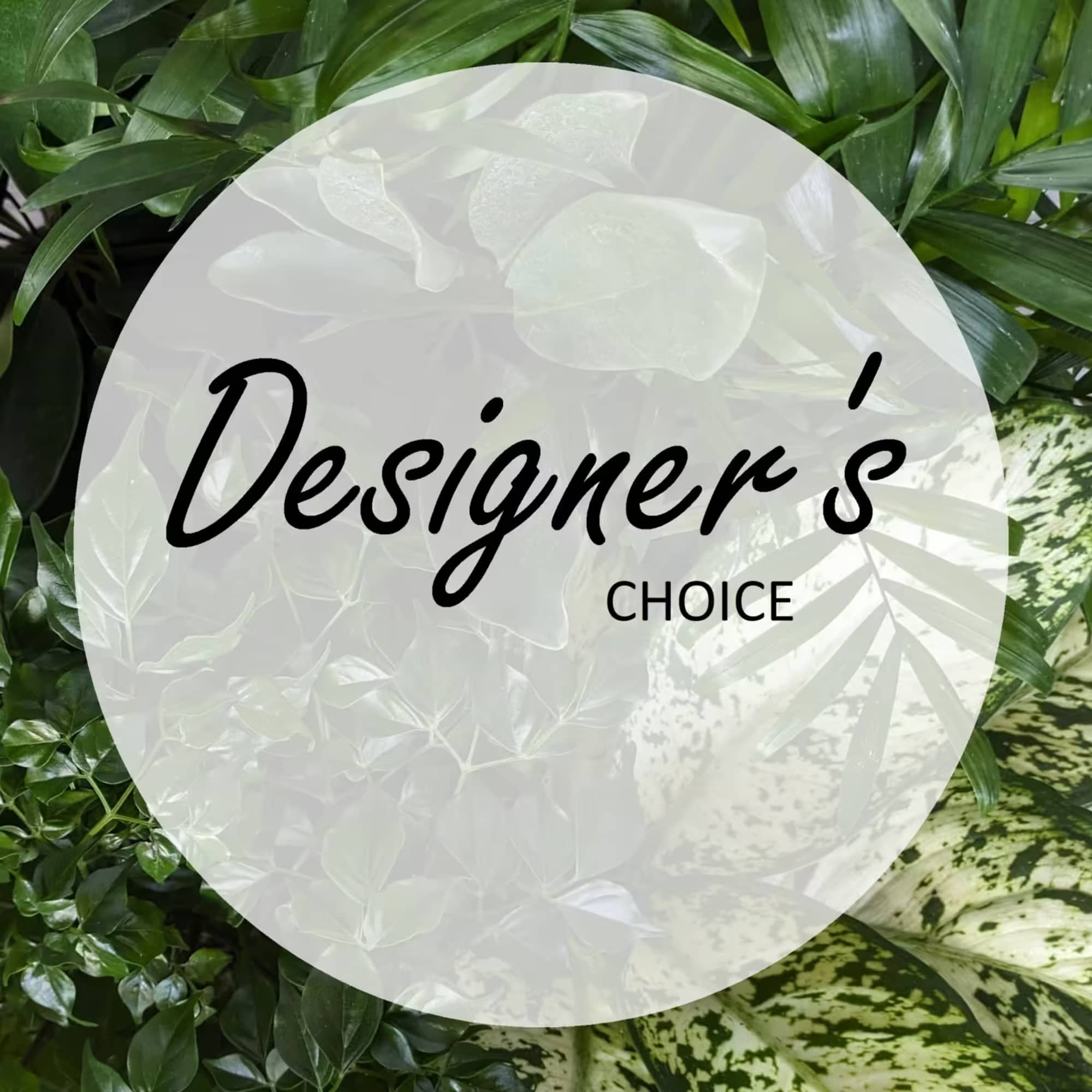 Logo over a background of dense green foliage