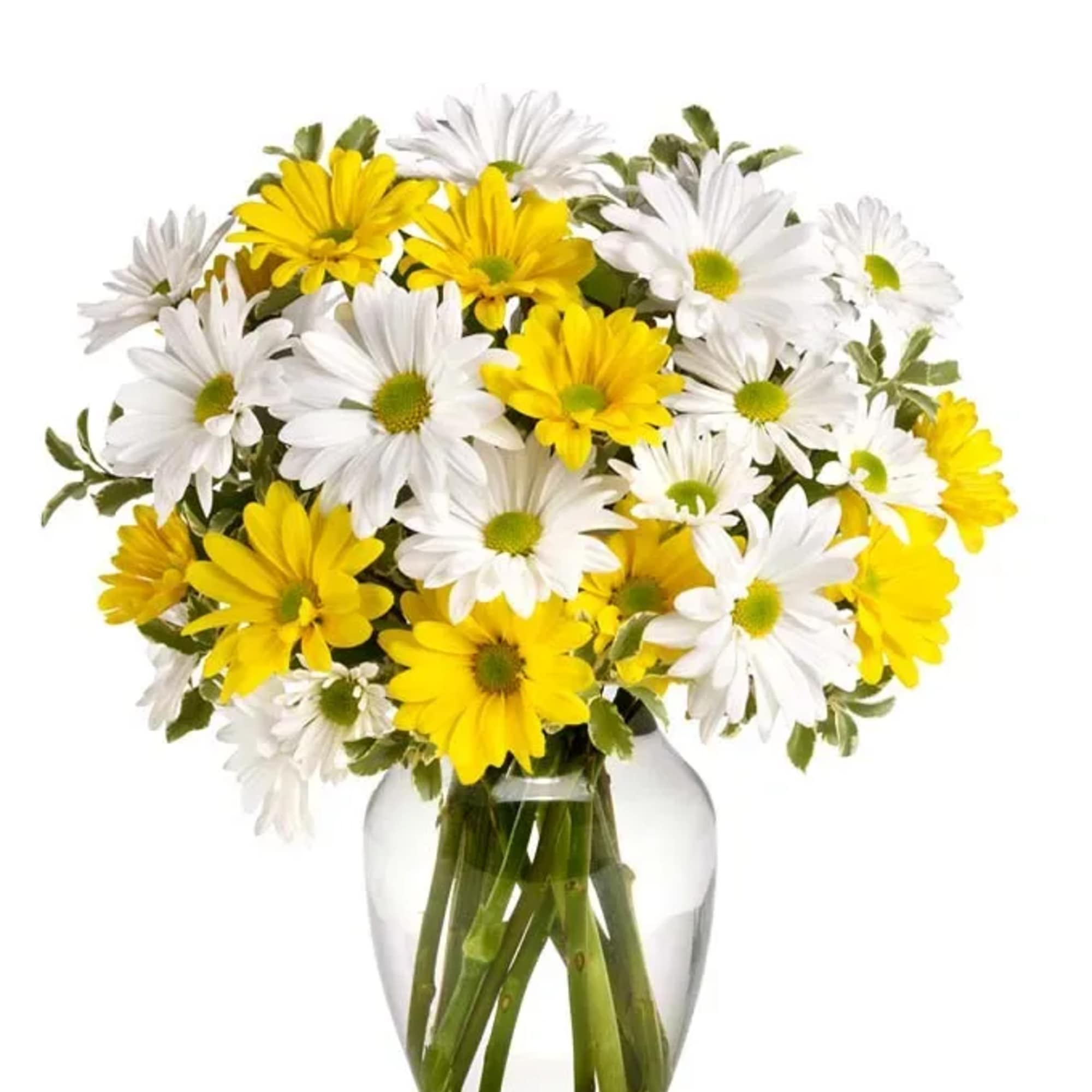 Yellow and white daisy bouquet in a clear glass vase