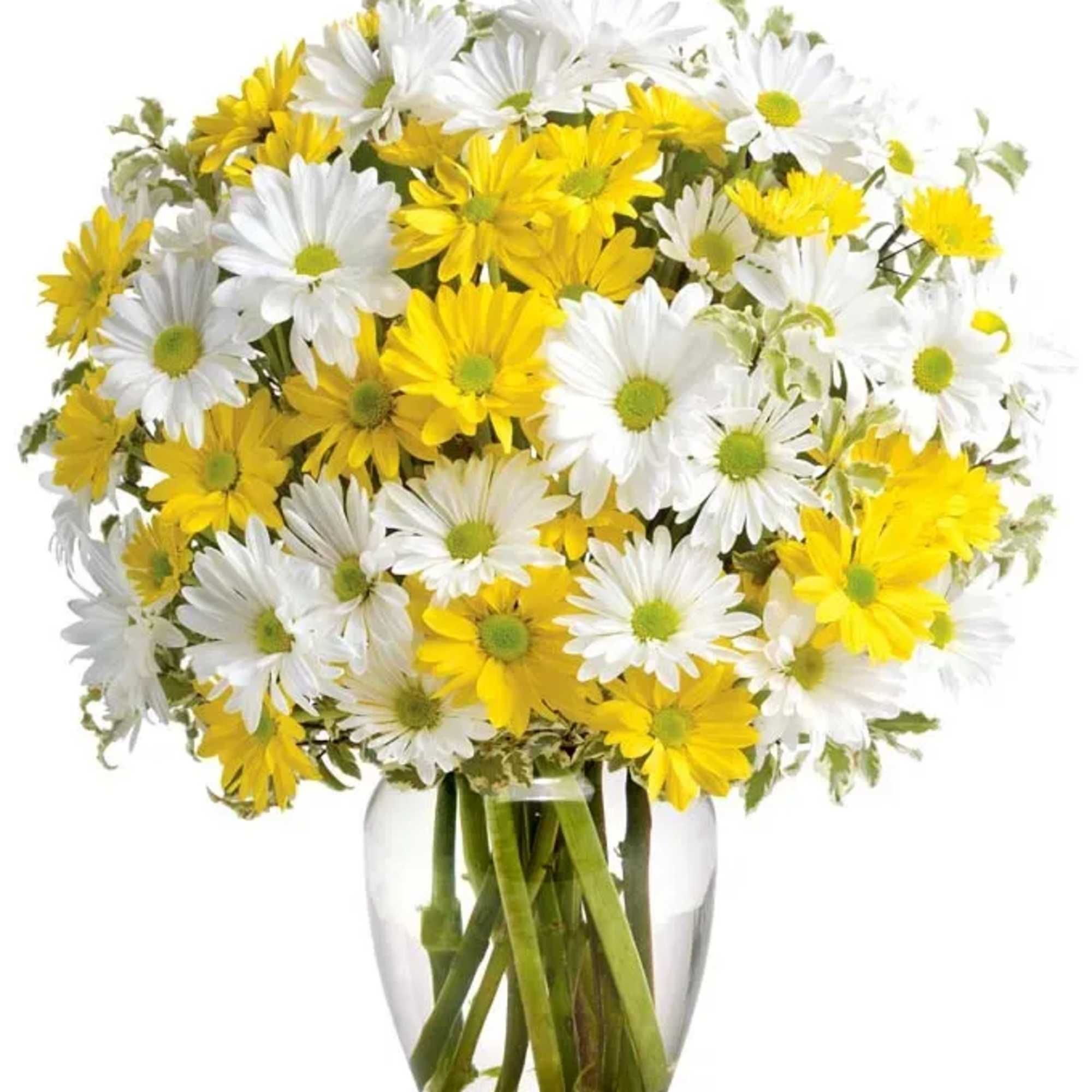 Yellow and white daisy bouquet in a clear glass vase