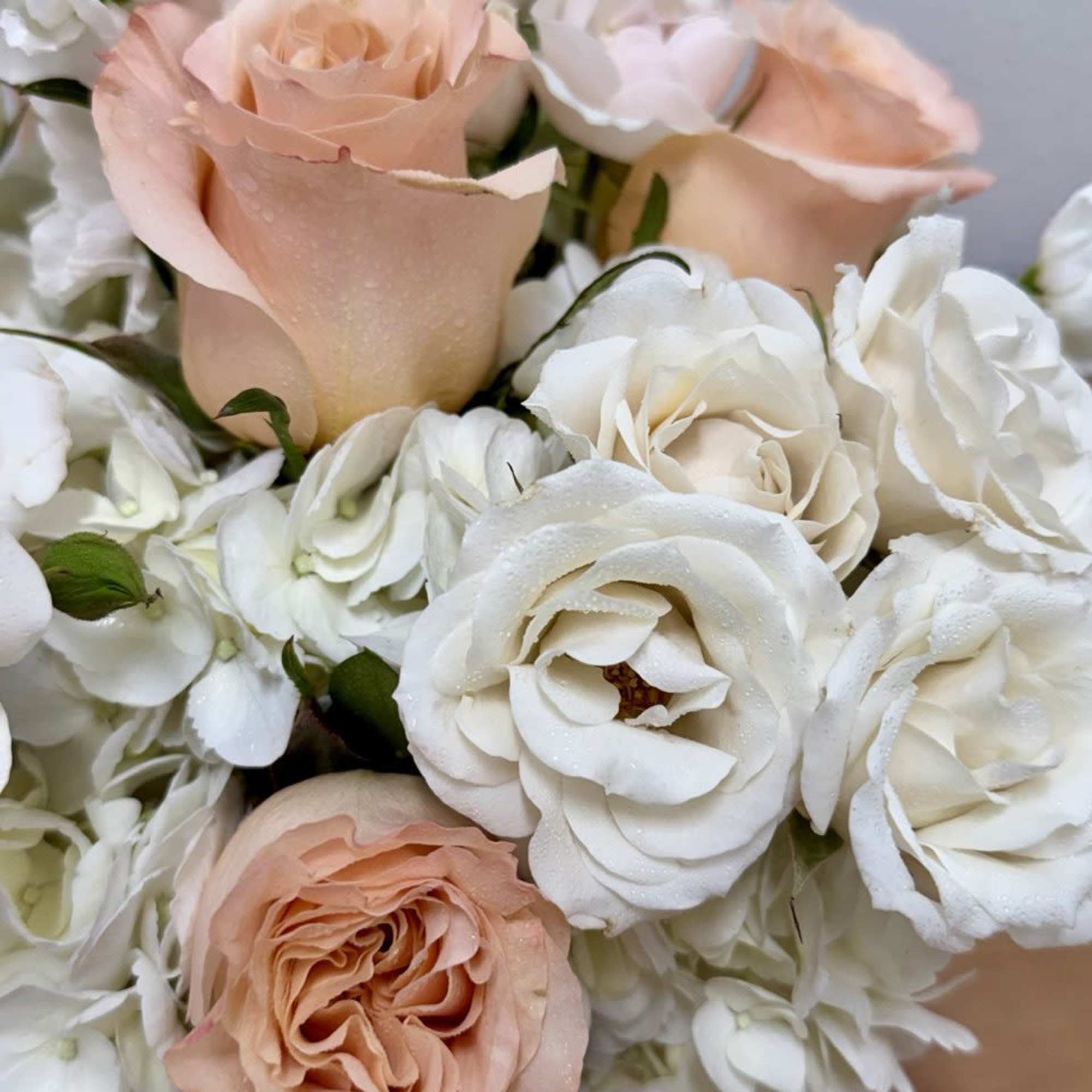 Bouquet of blush and white roses with white filler flowers