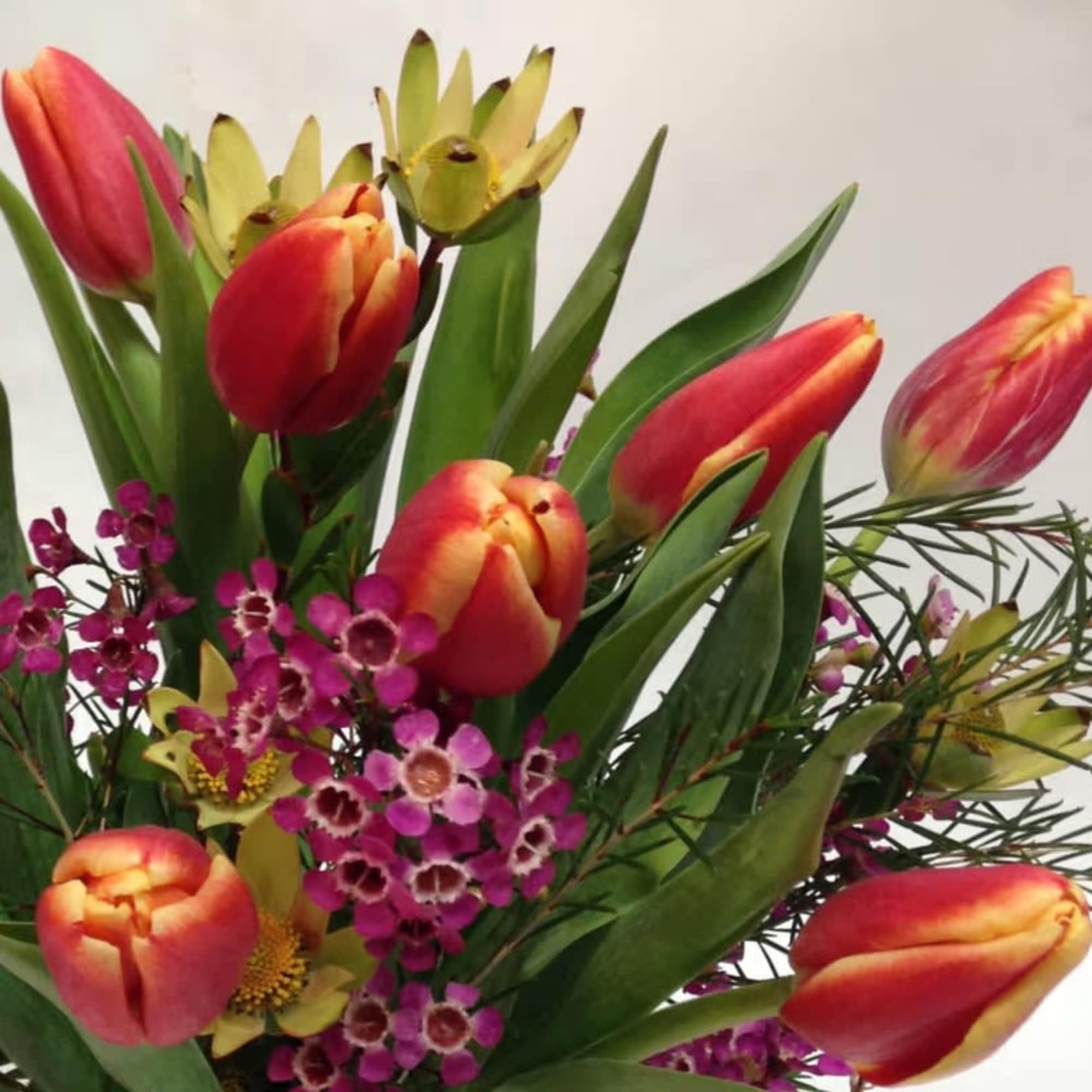Bouquet of red-orange tulips with purple accent flowers