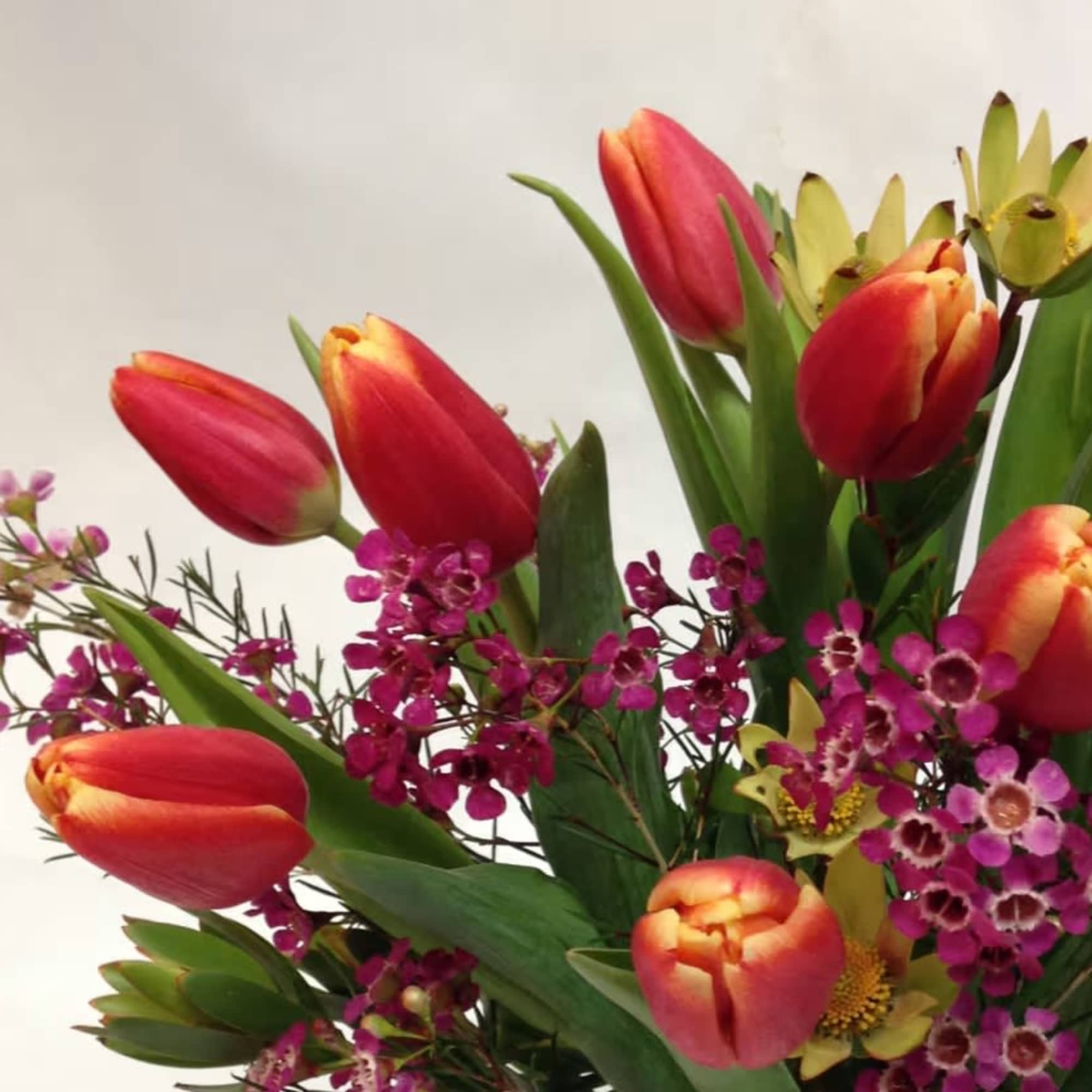Bouquet of red and orange tulips with purple accent flowers