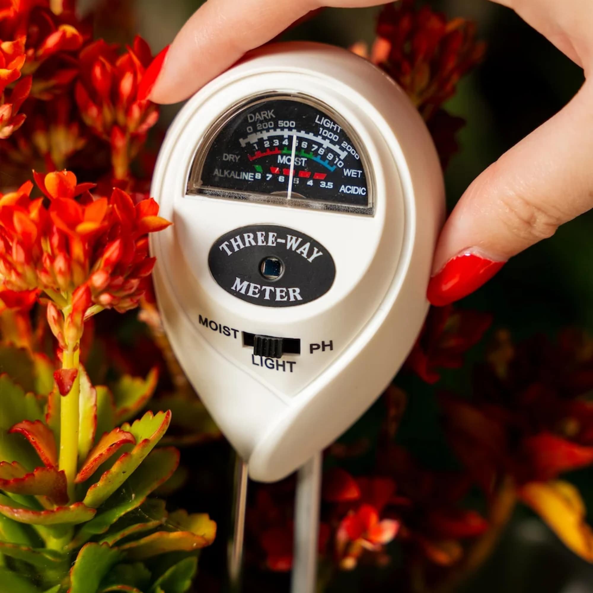 Hand holding a three-way plant meter among red-orange flowers and a succulent plant